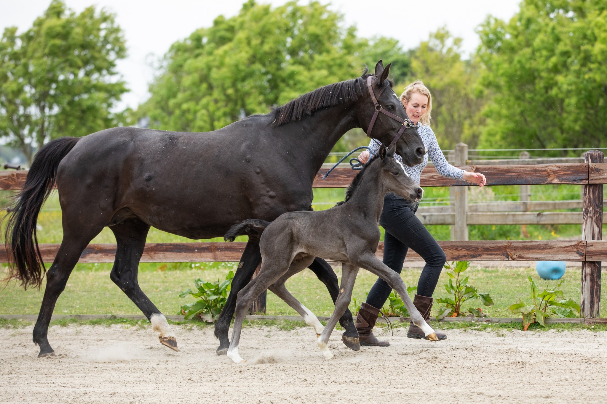 Daxx x Wynton Marieke Lombaard 4