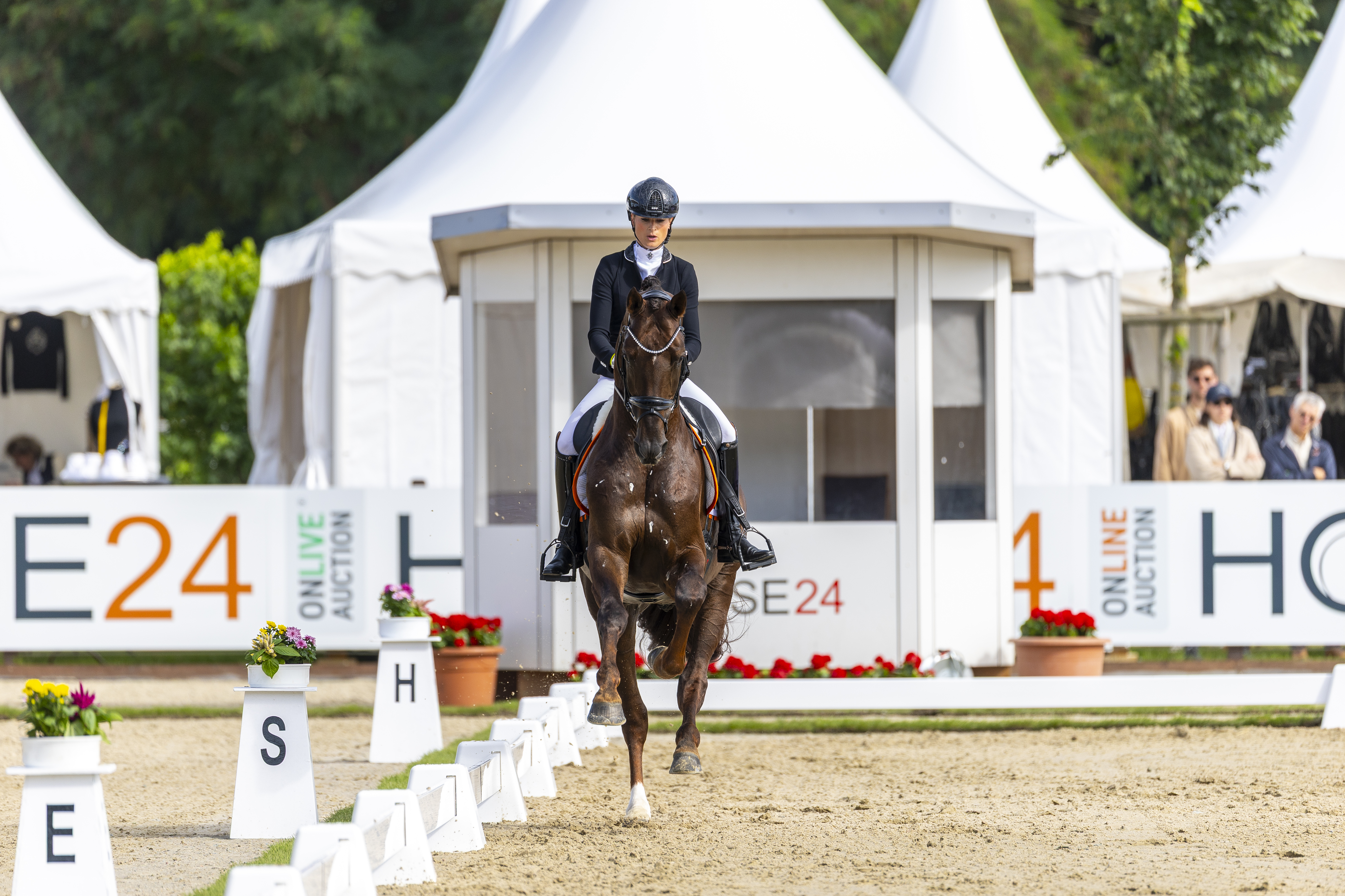 Dinja van Liere Red Viper ERME25 L Corentin Pottier Emoji JCD SL VERD25 L298628 JPG