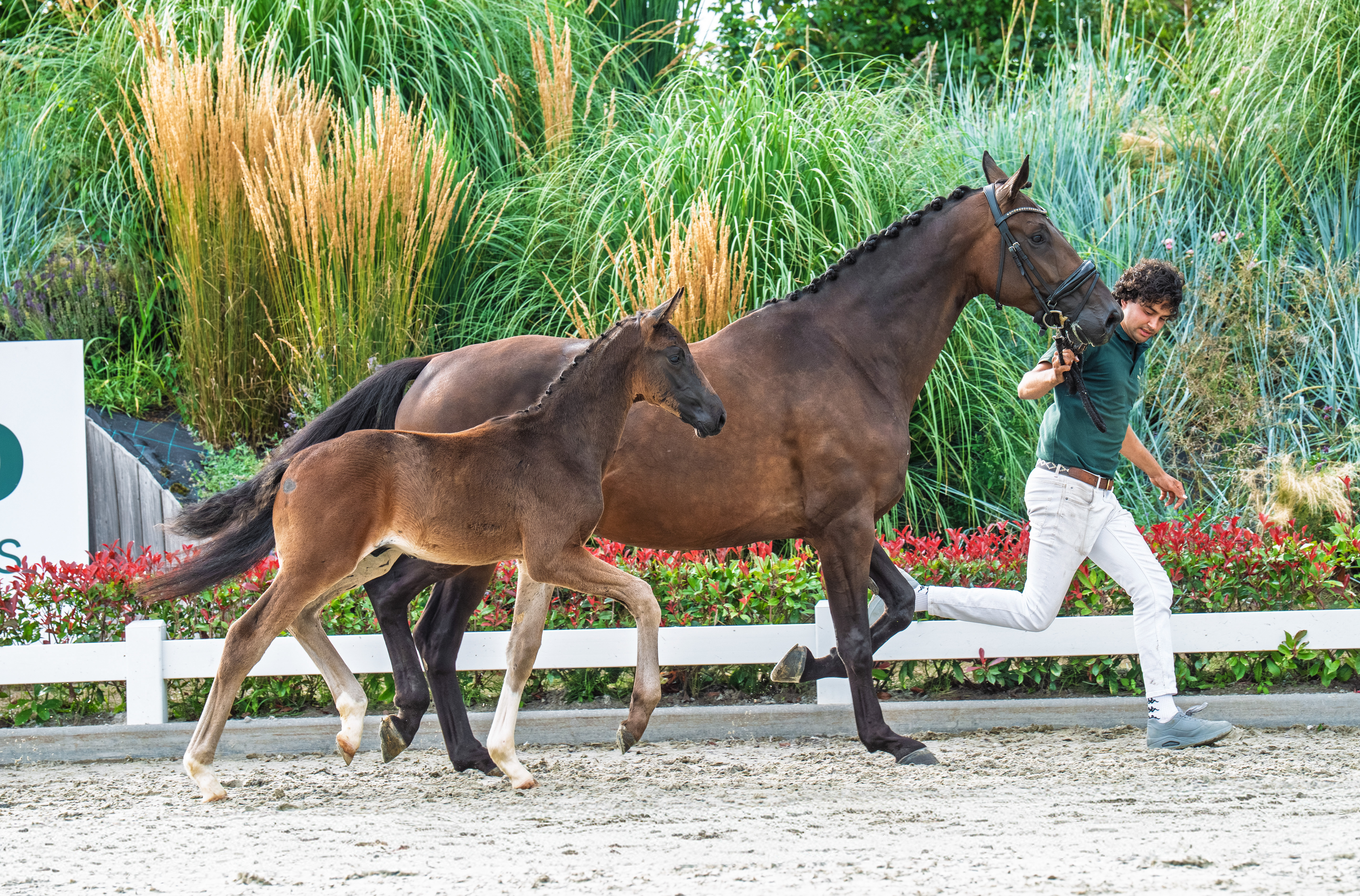 Fiji x First Date E Jansen en E J Investments B V 1