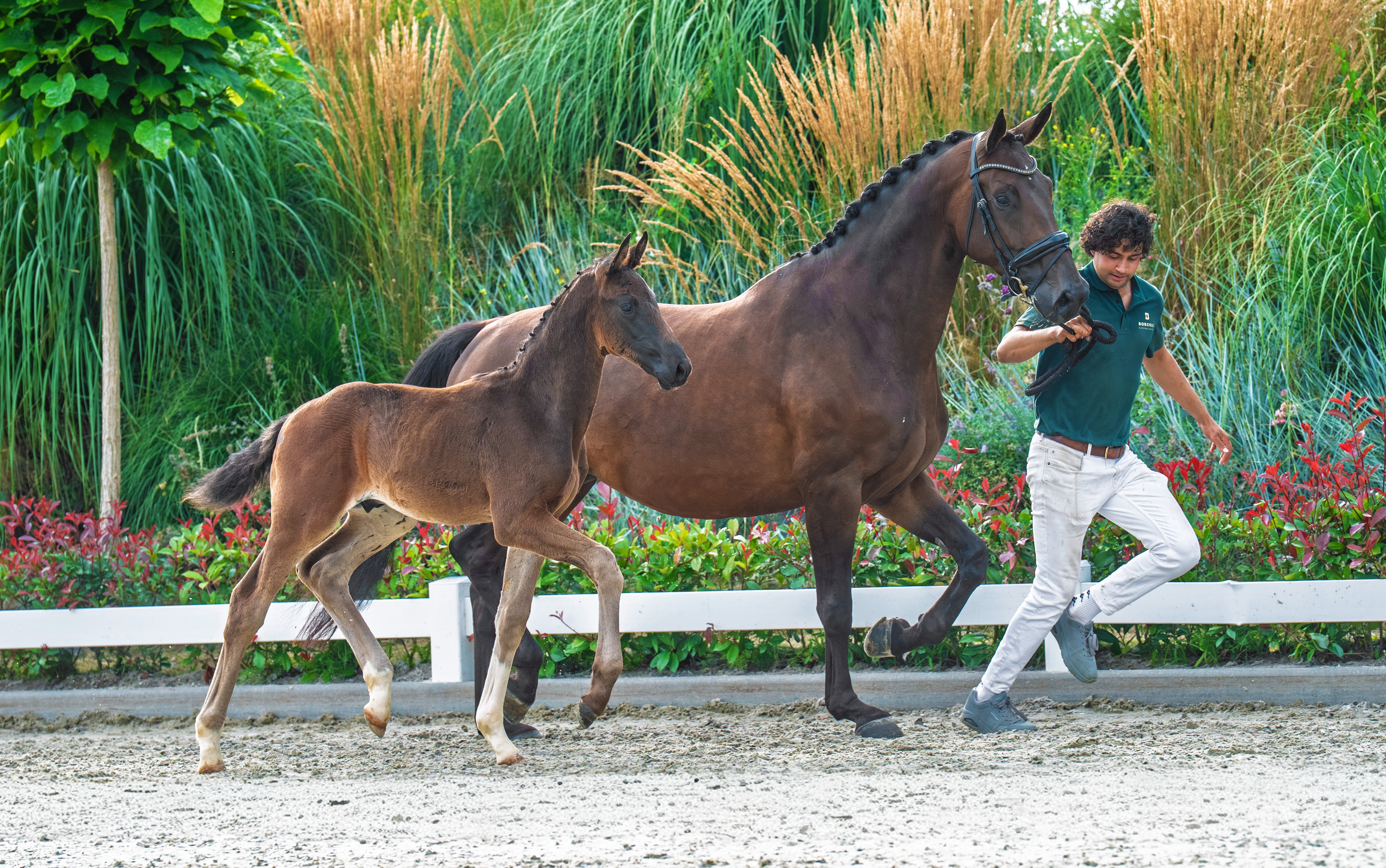 Fiji x First Date E Jansen en E J Investments B V 2