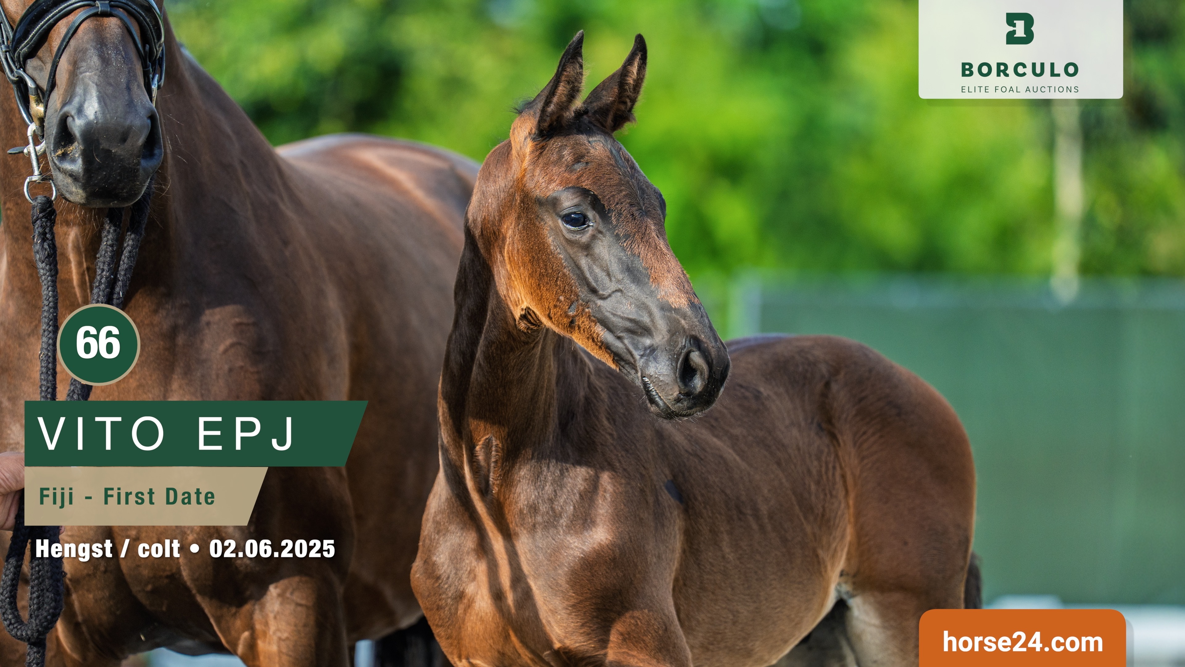 Fiji x First Date E Jansen en E J Investments B V 3