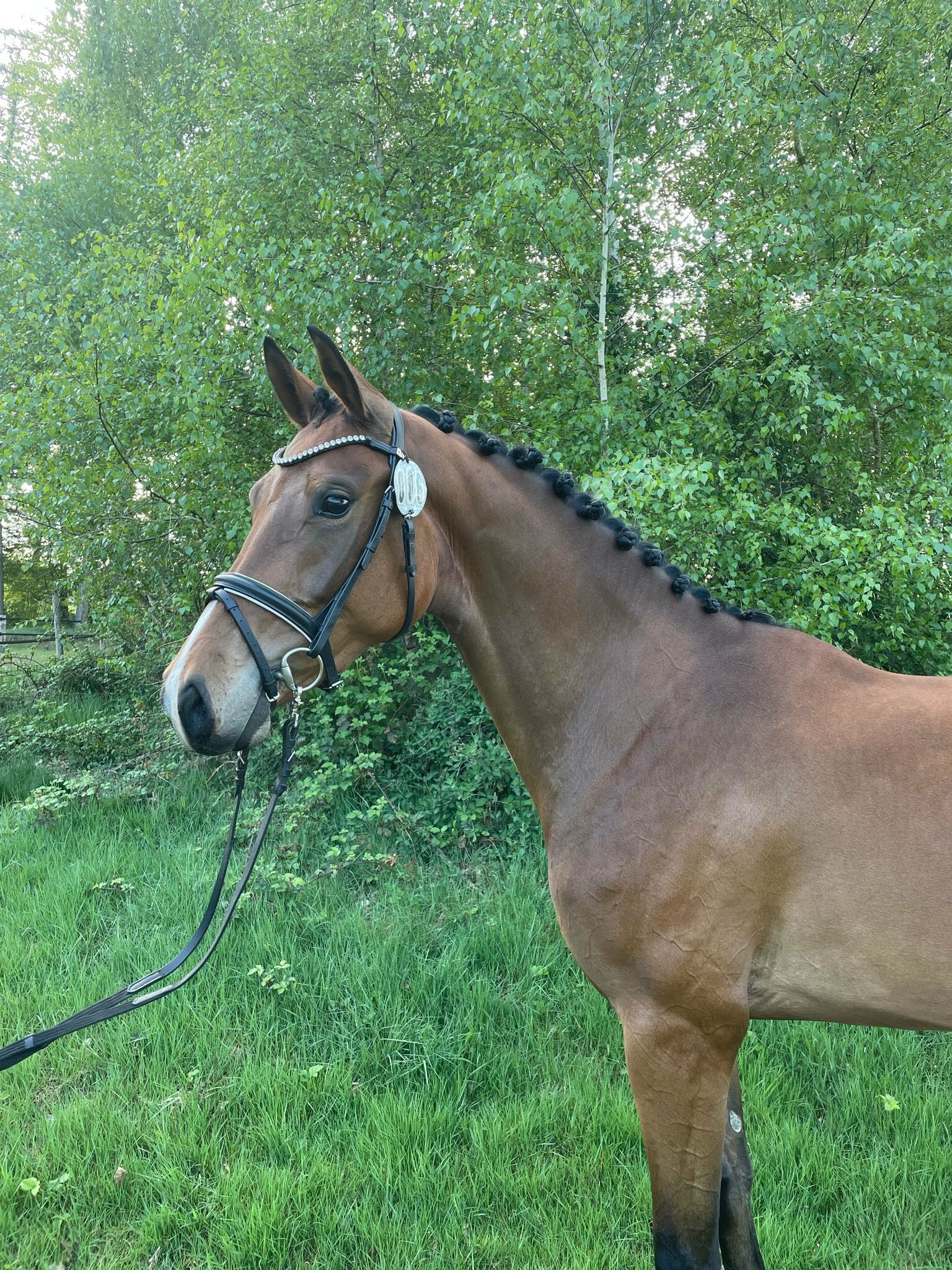 Frankie Lee x Franklin Jeroen en Dennis 1