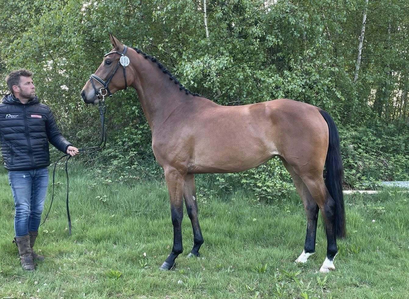 Frankie Lee x Franklin Jeroen en Dennis