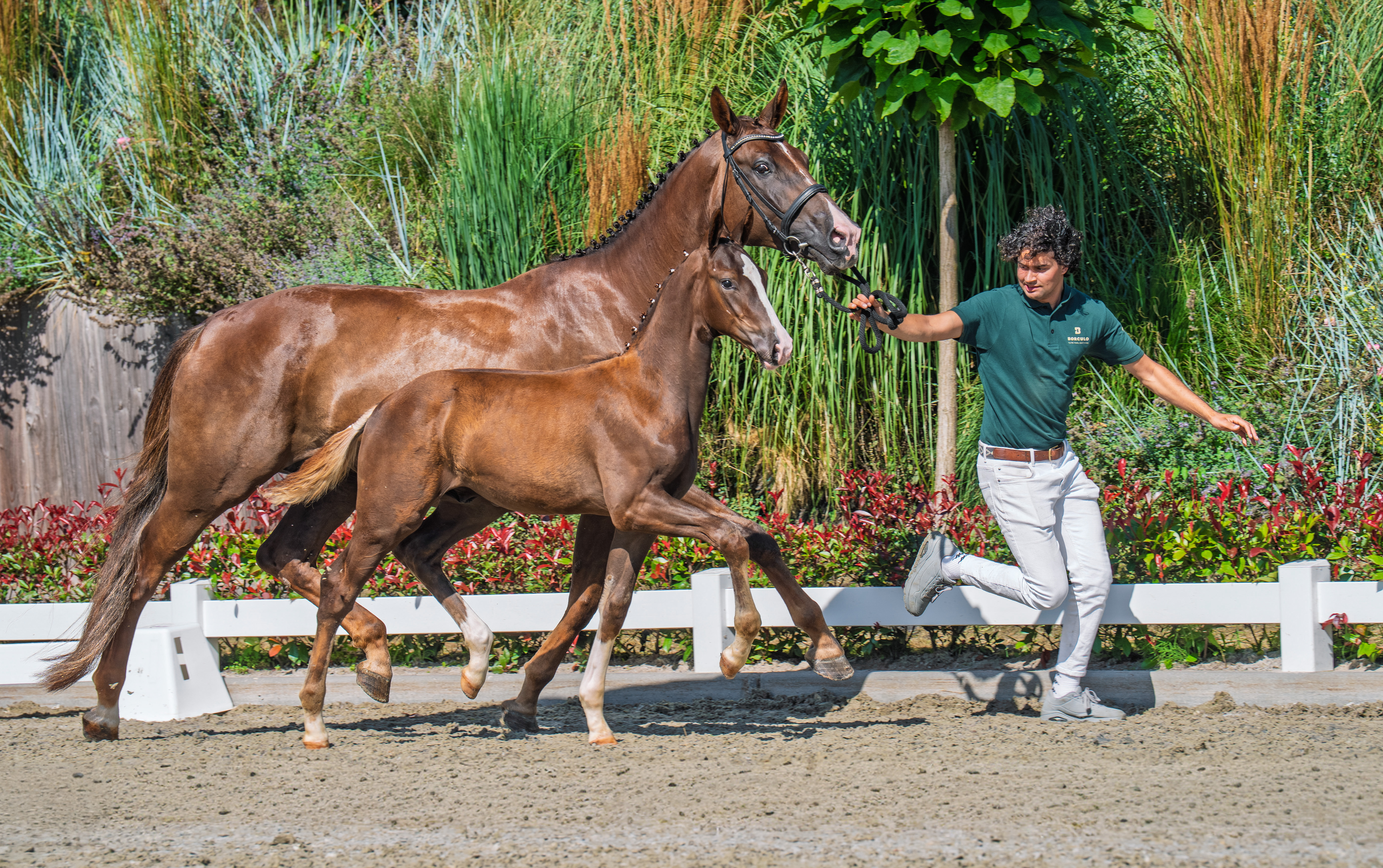 Frankie Lee x Quantensprung Jan Greve 2