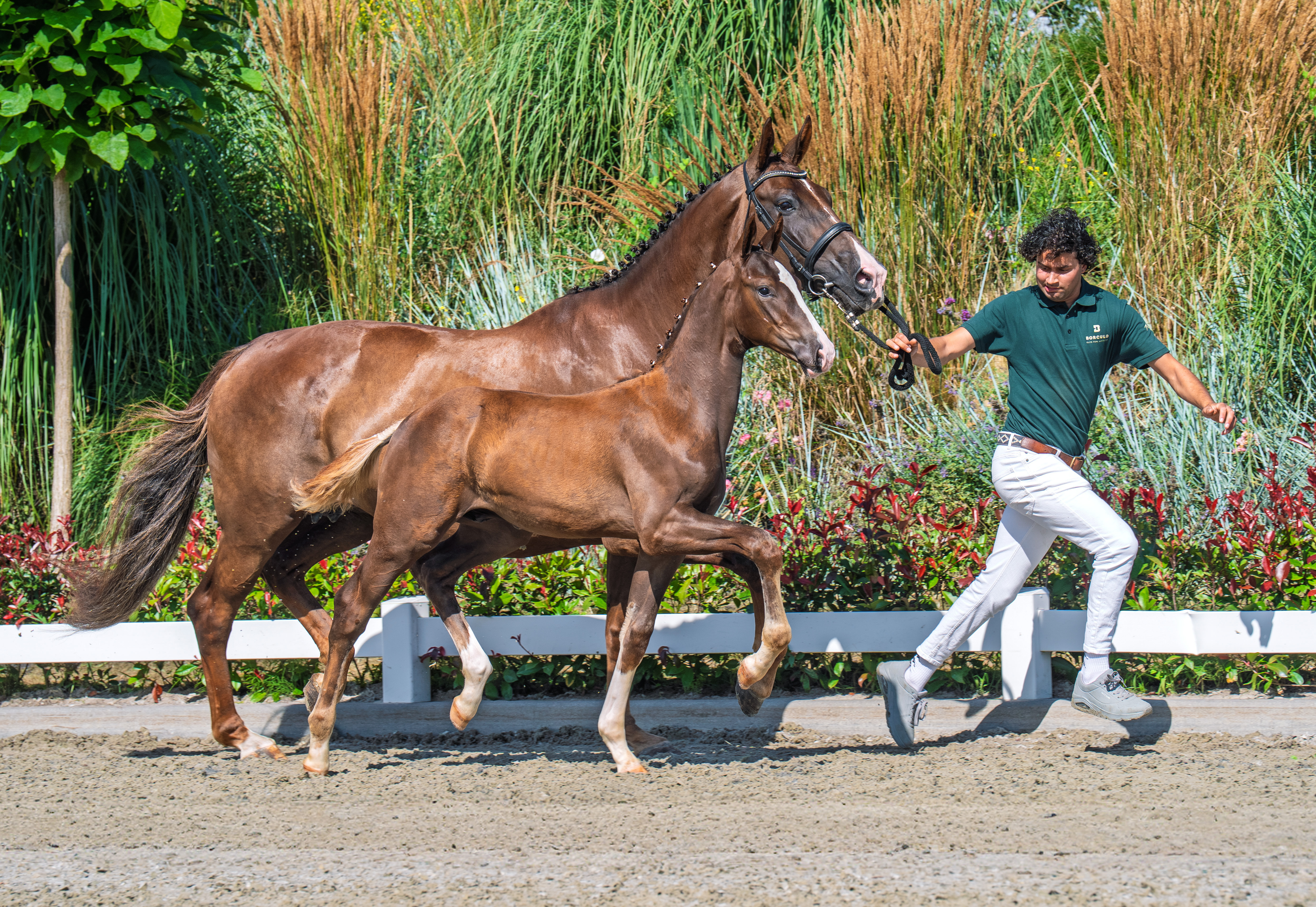 Frankie Lee x Quantensprung Jan Greve 3