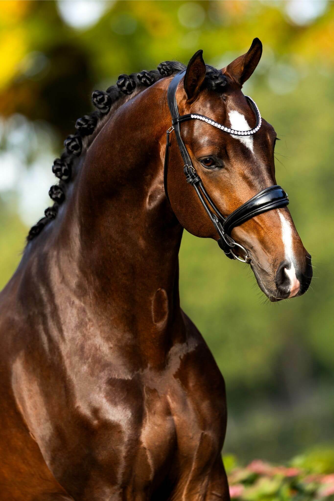 Ontwerp zonder titel 10