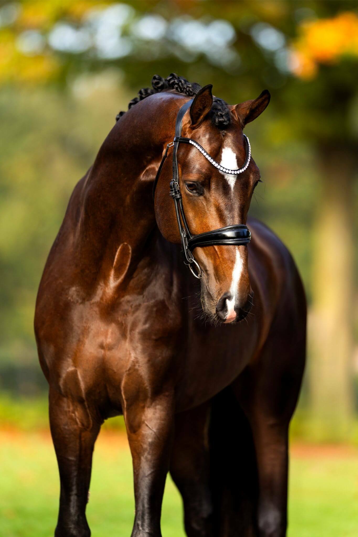 Ontwerp zonder titel 12