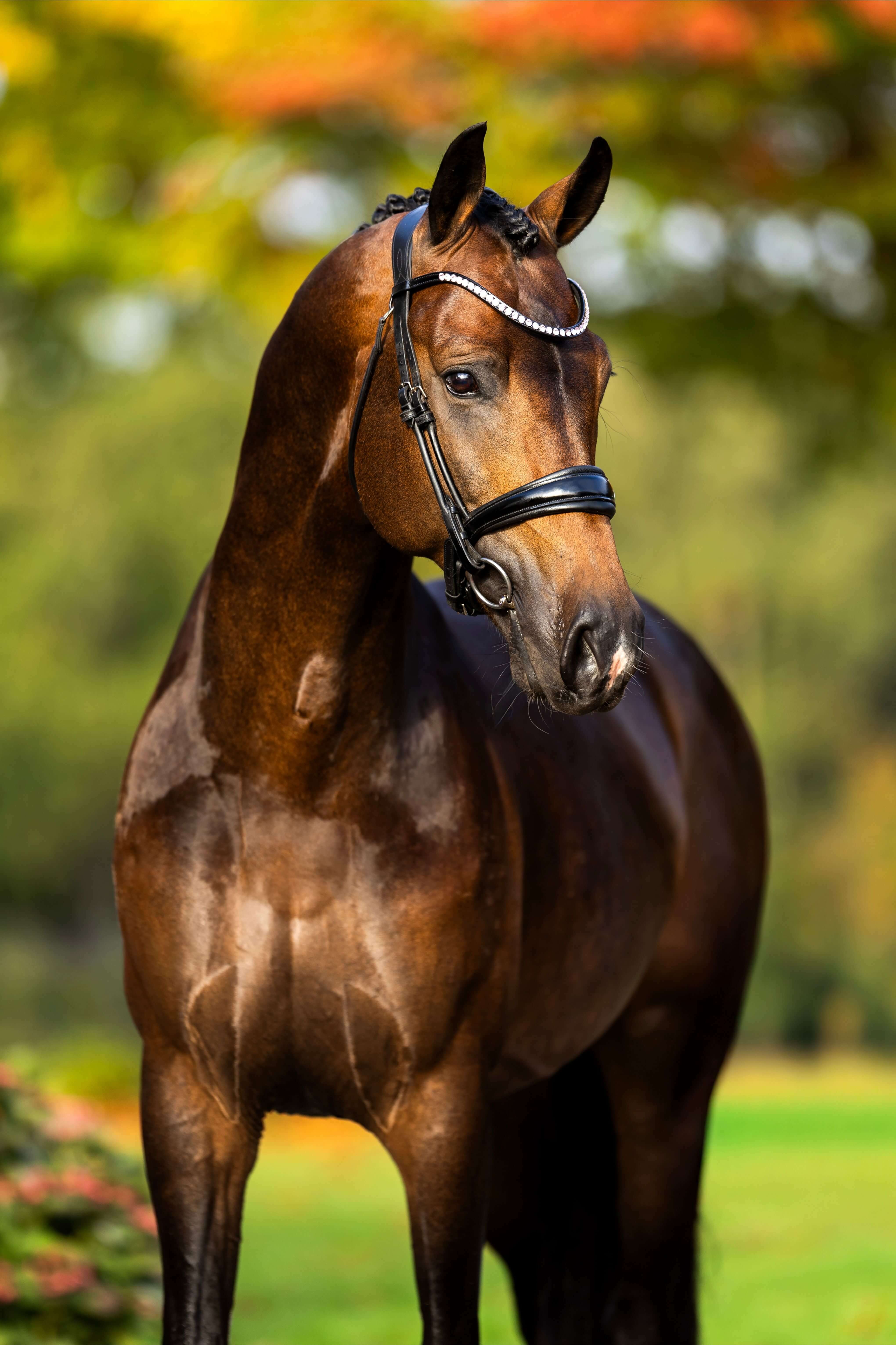 Ontwerp zonder titel 18 1