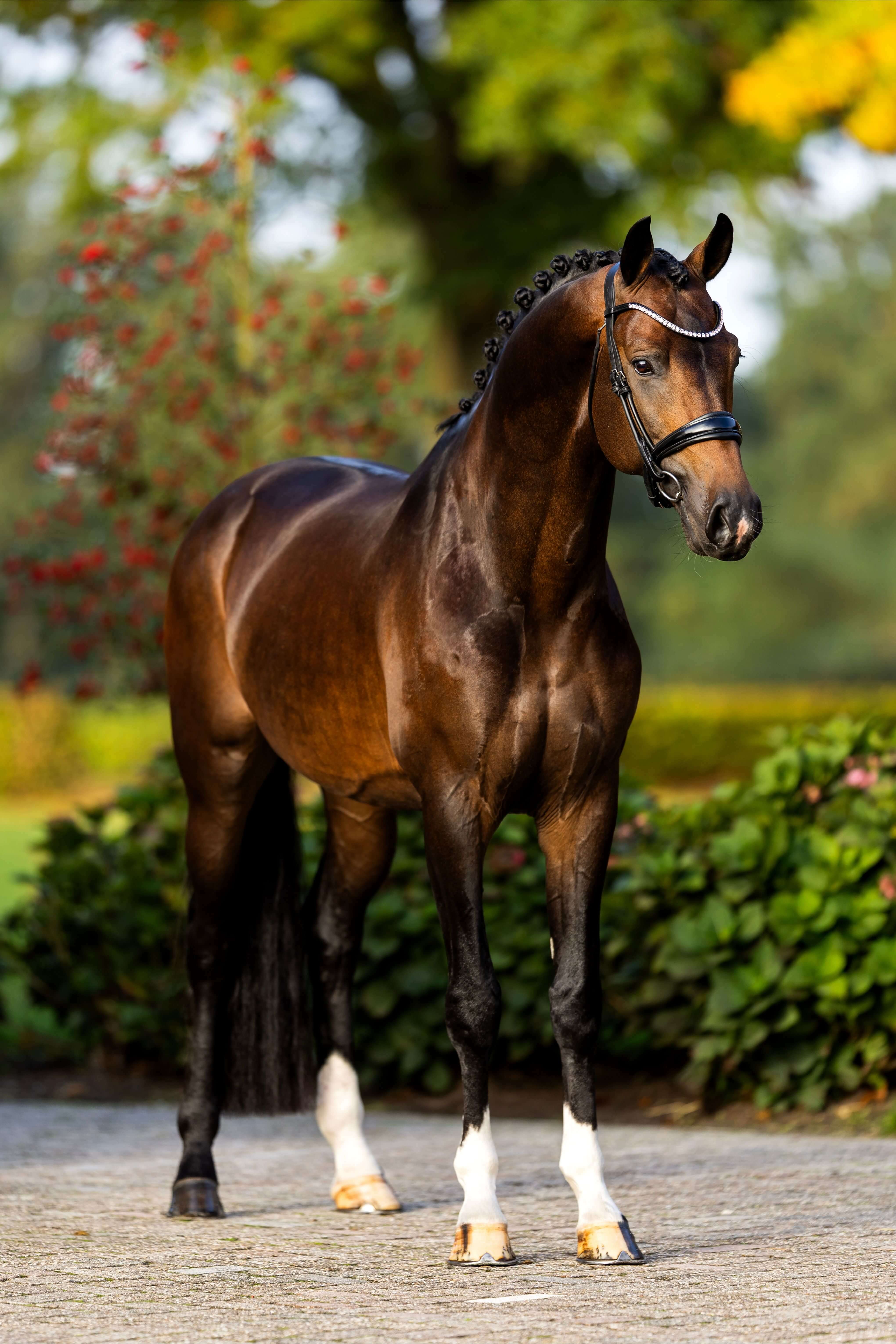 Ontwerp zonder titel 19 1