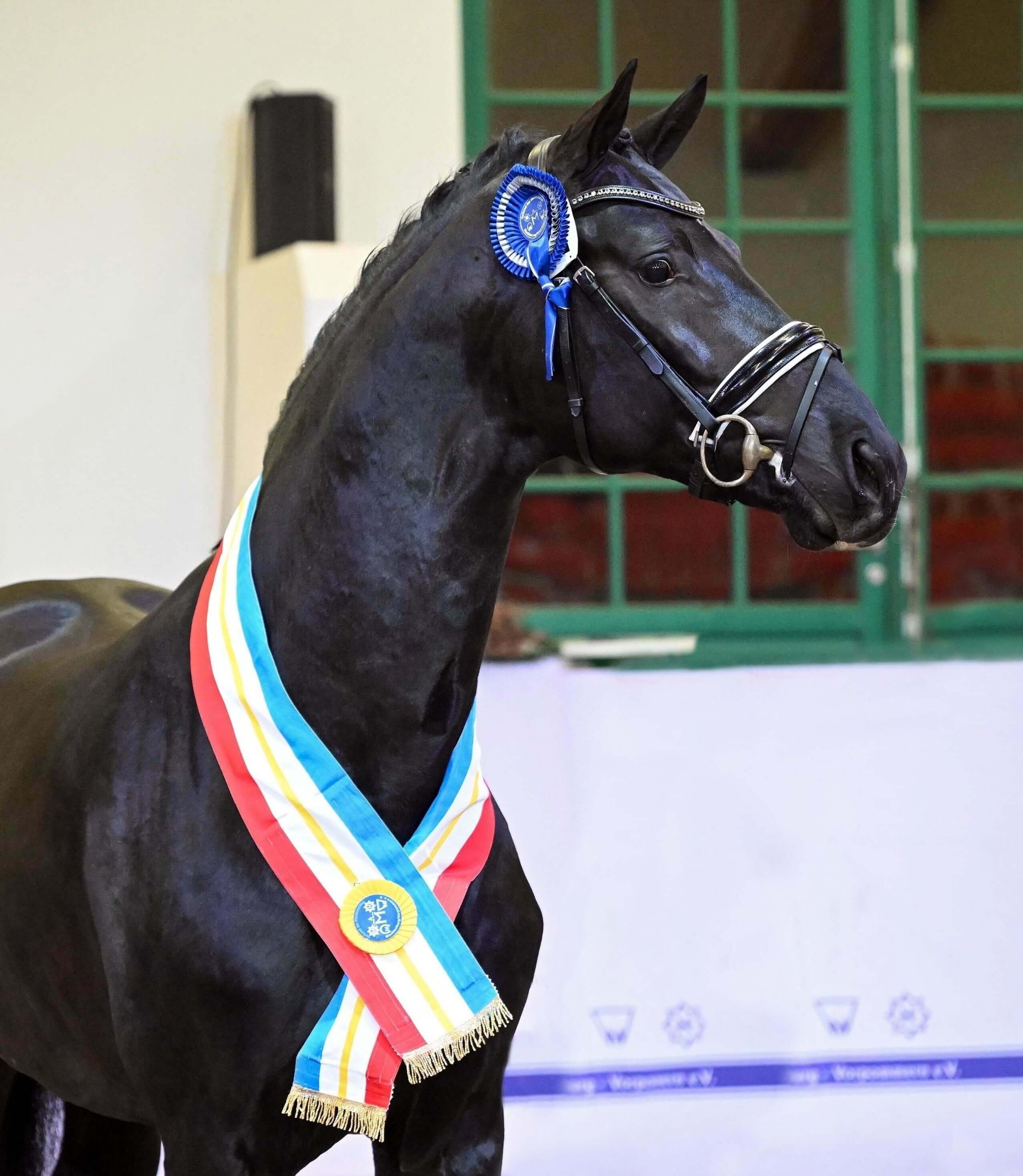 Ontwerp zonder titel 23 1