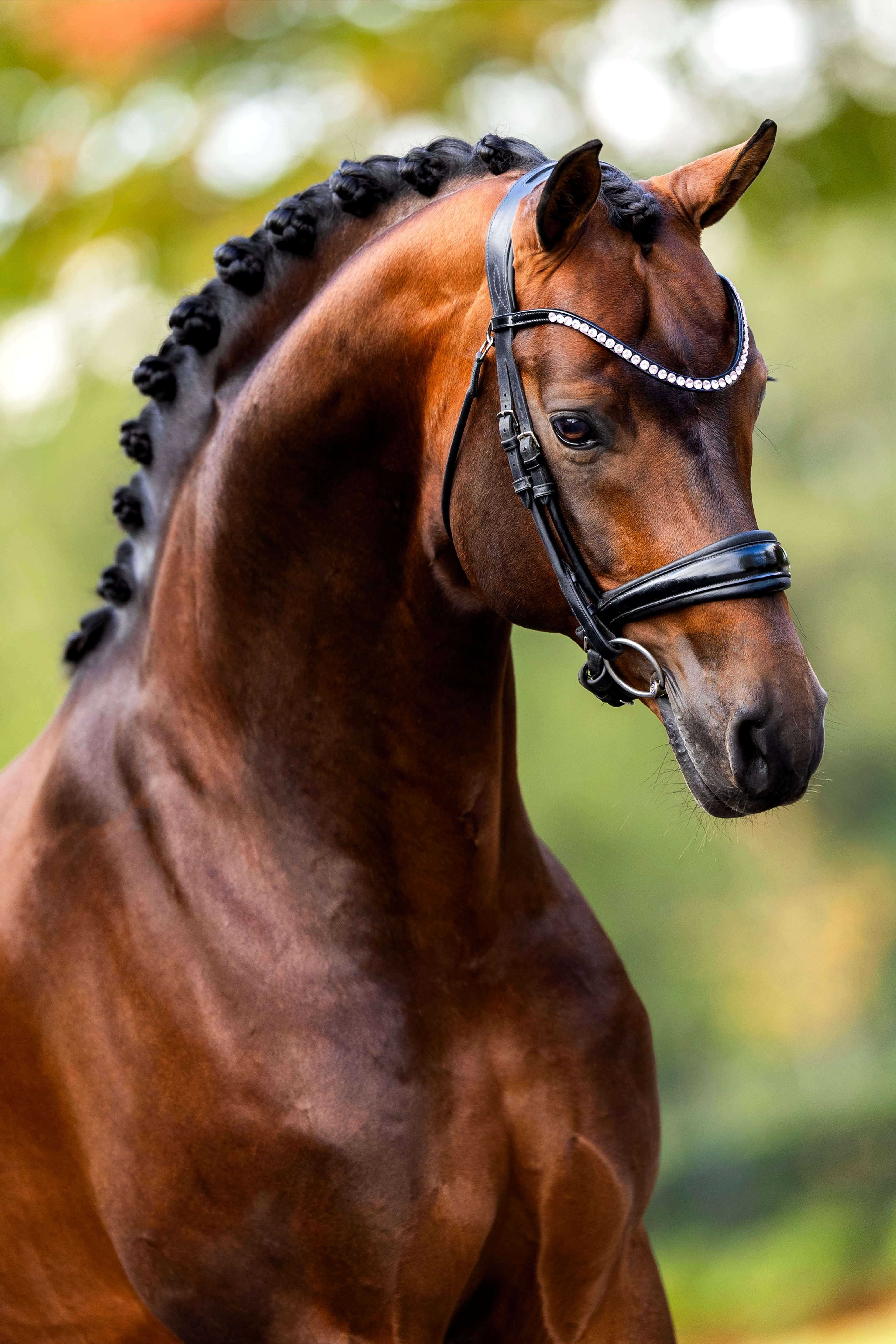 Ontwerp zonder titel 37 1