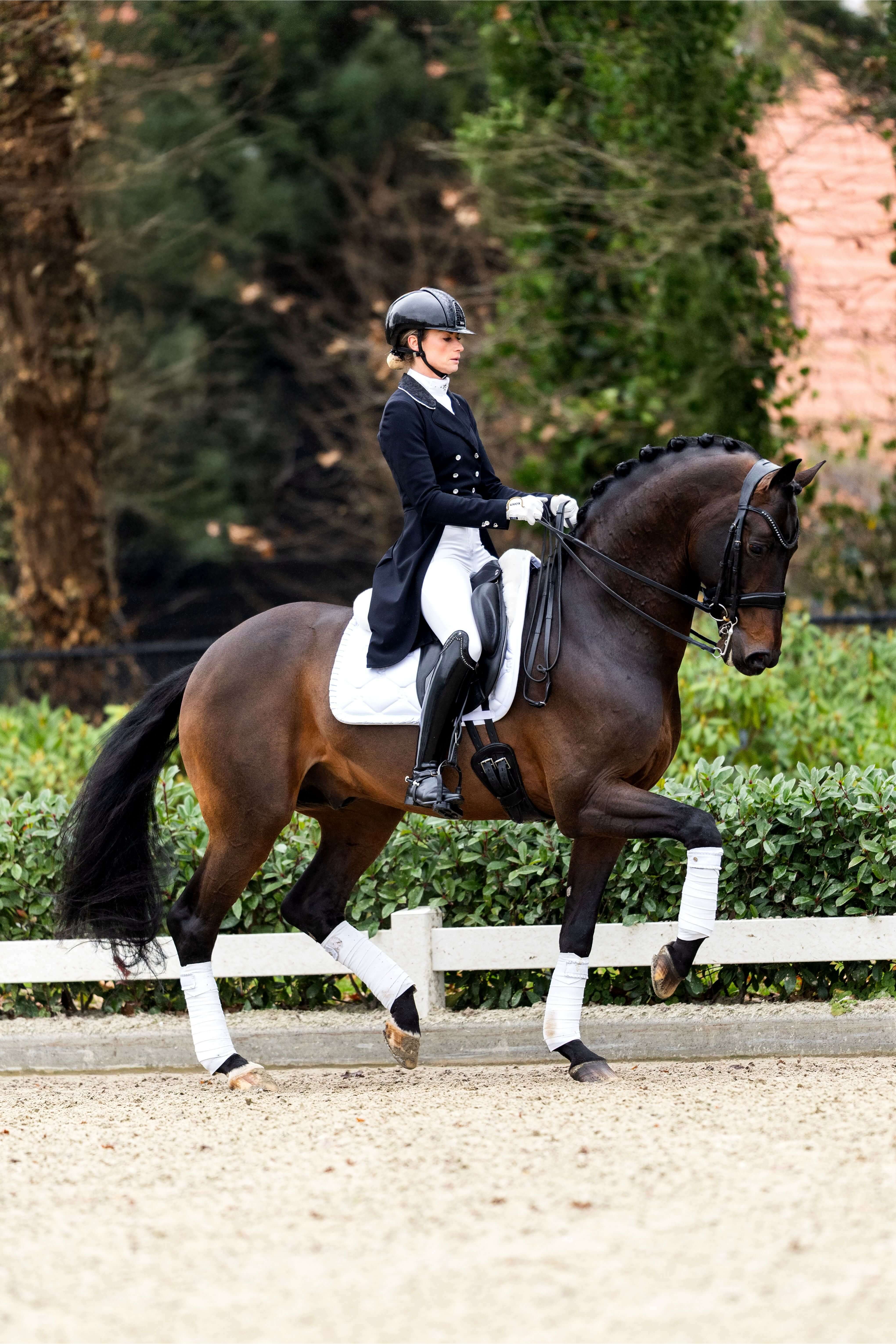 Ontwerp zonder titel 43 1