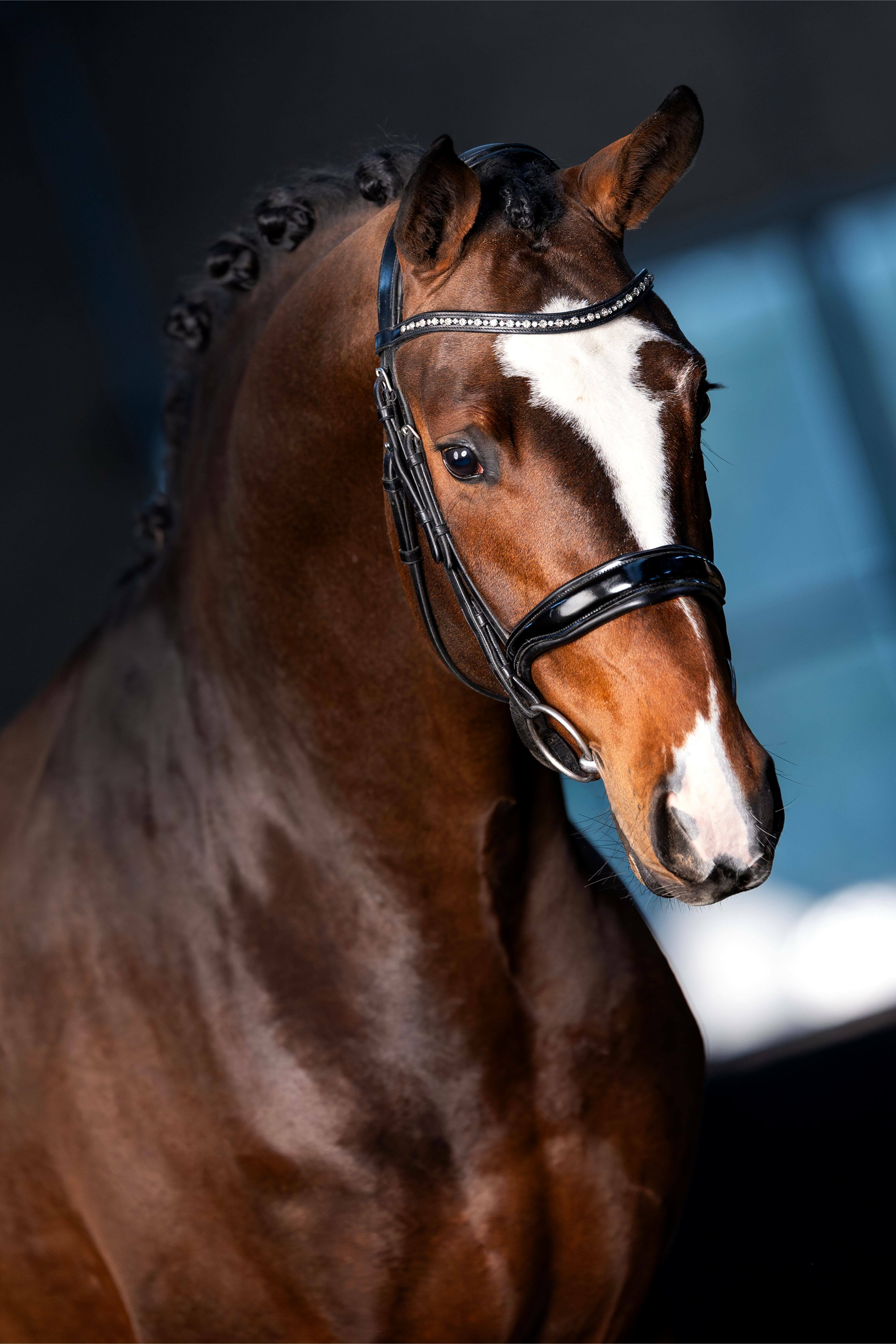 Ontwerp zonder titel 5