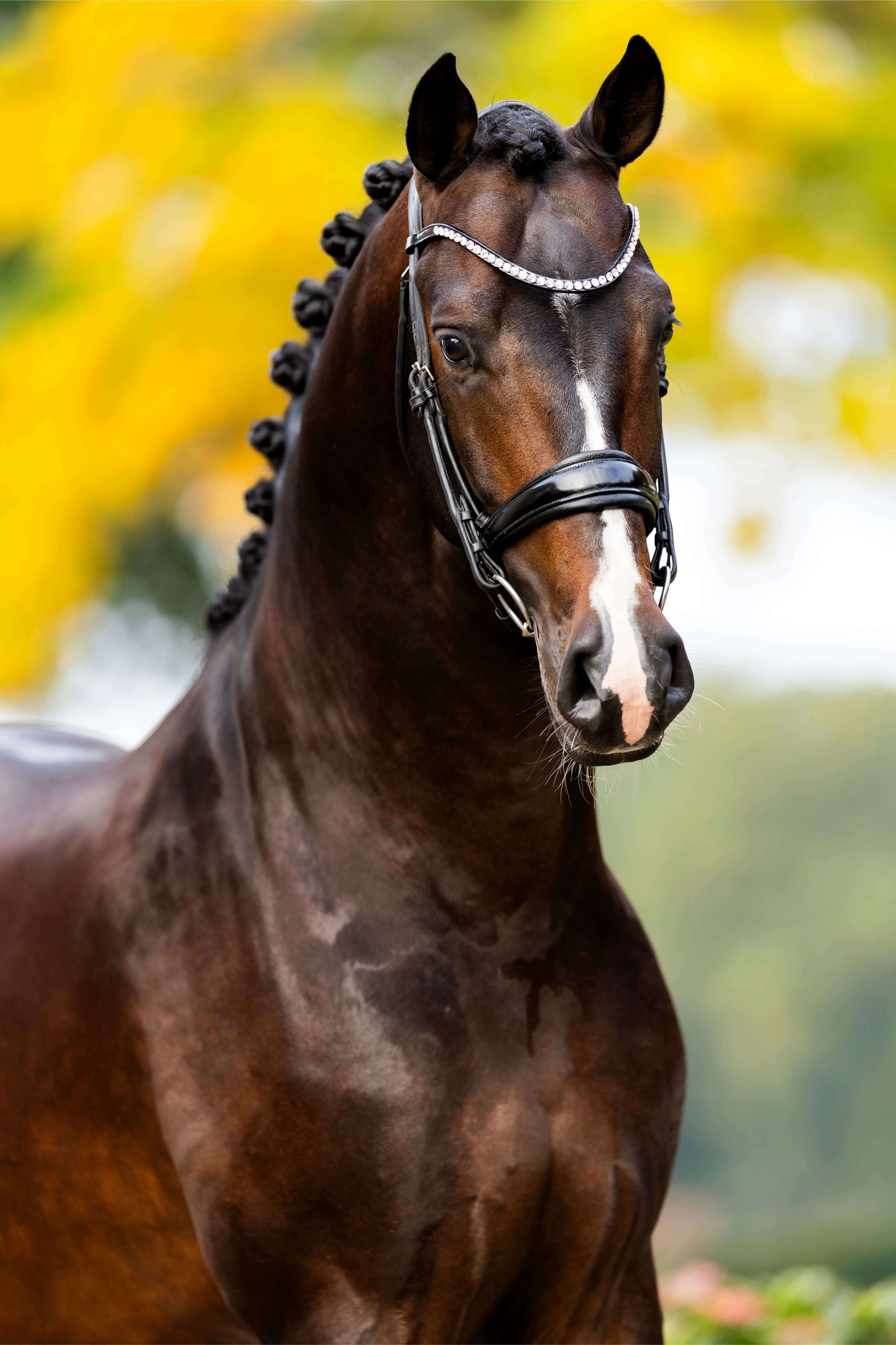 Ontwerp zonder titel 50 1