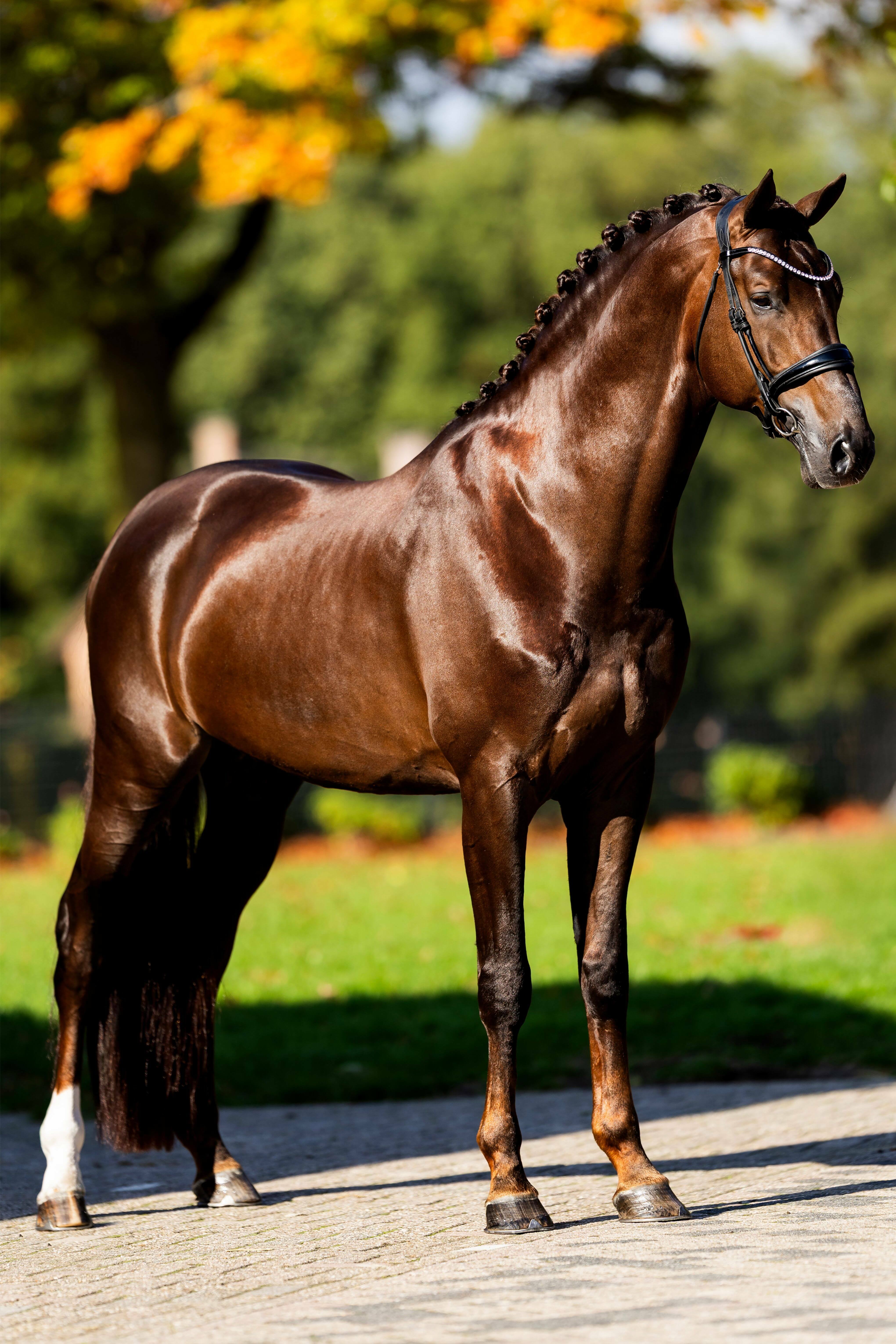 Ontwerp zonder titel 59 1