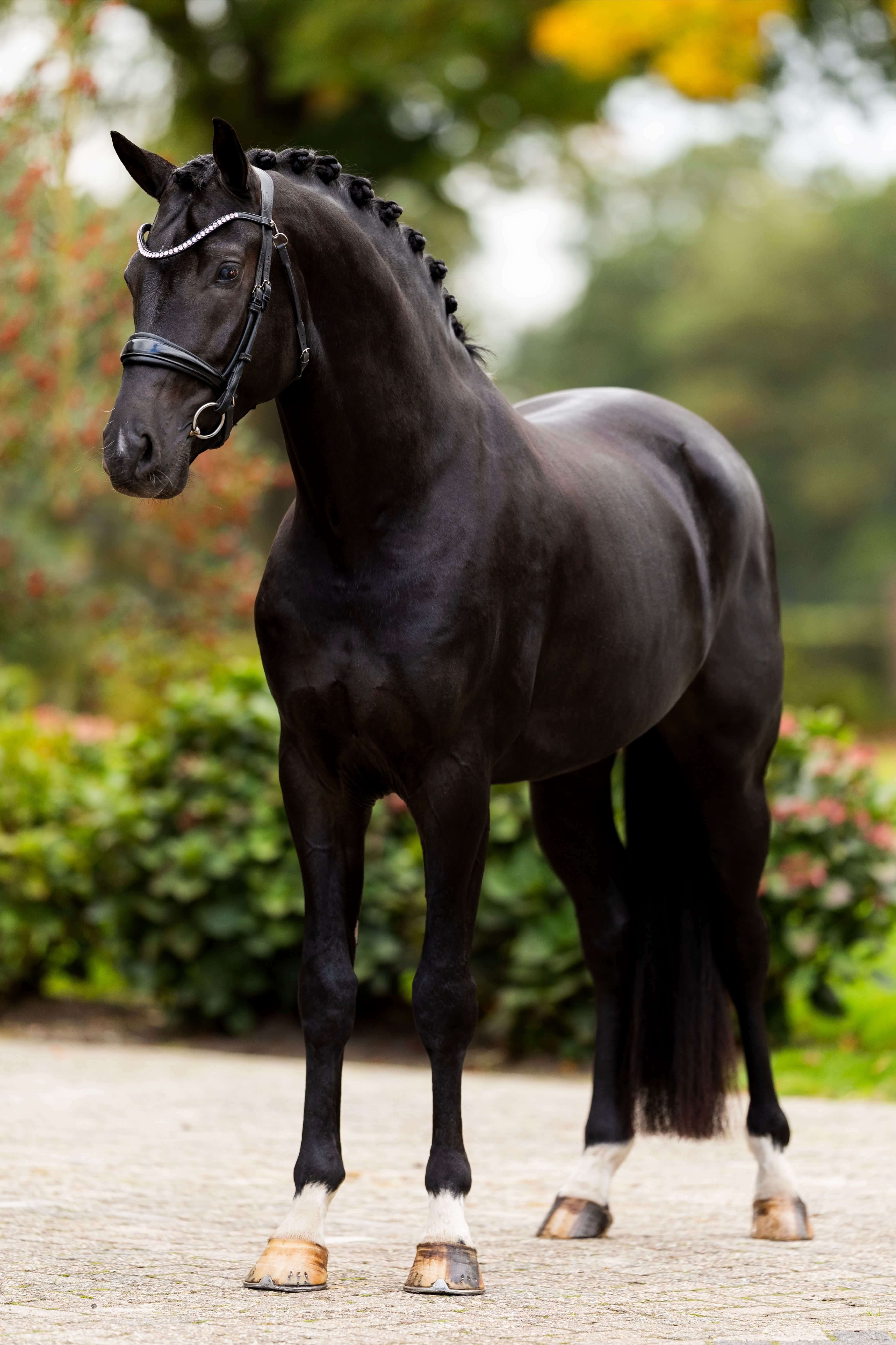 Ontwerp zonder titel 73 1