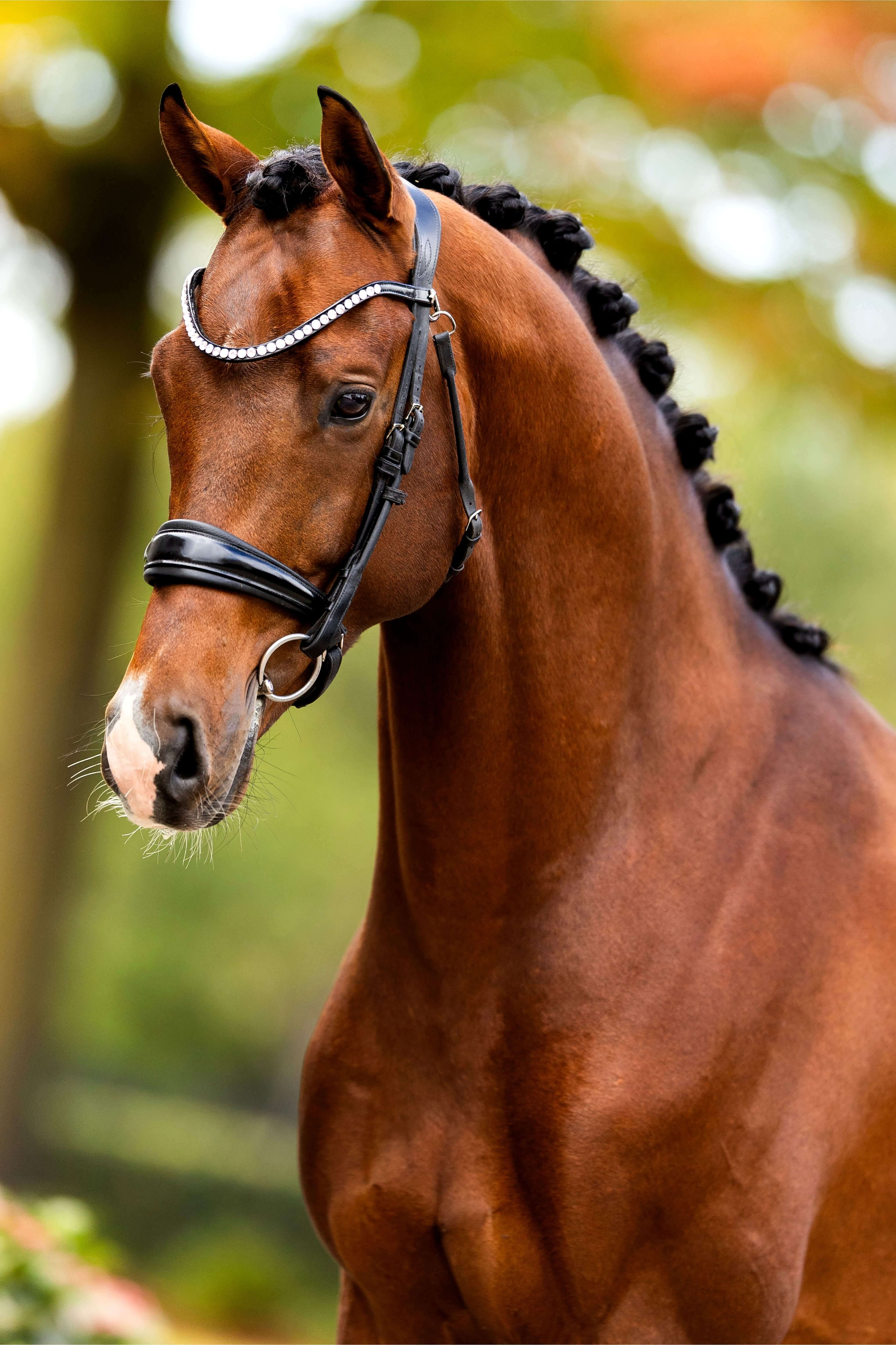 Ontwerp zonder titel 77 1