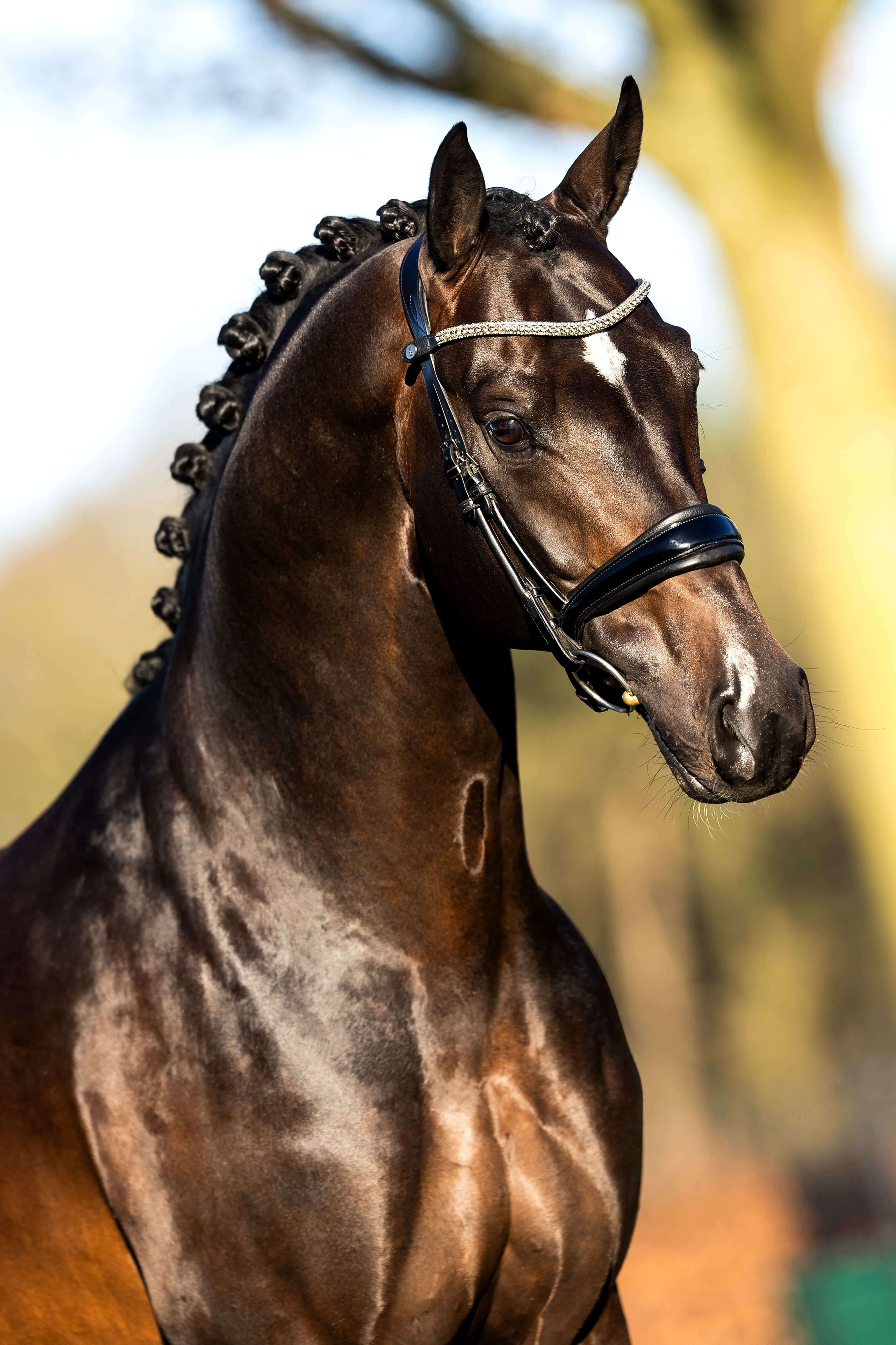 Ontwerp zonder titel 92 1