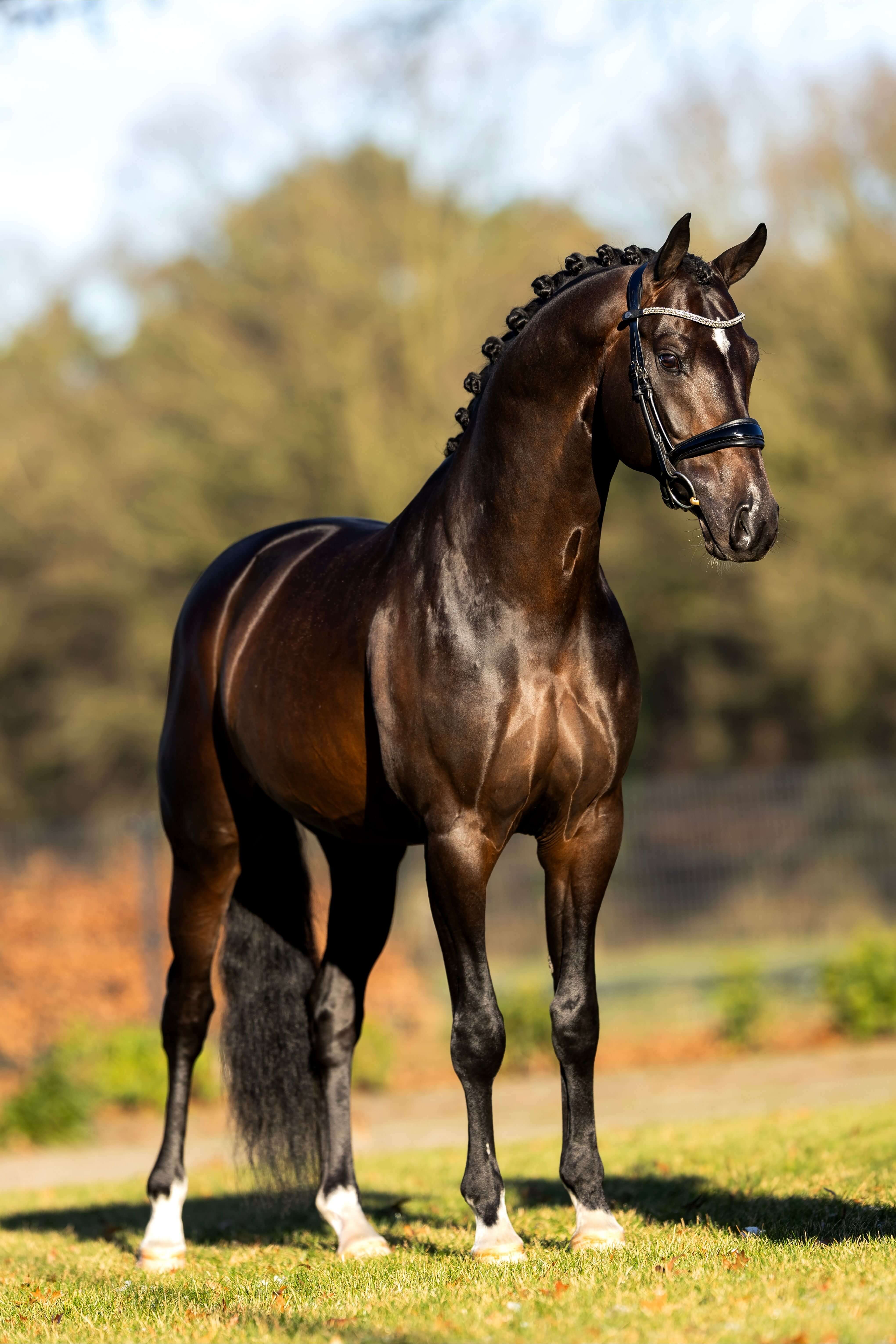 Ontwerp zonder titel 94 1