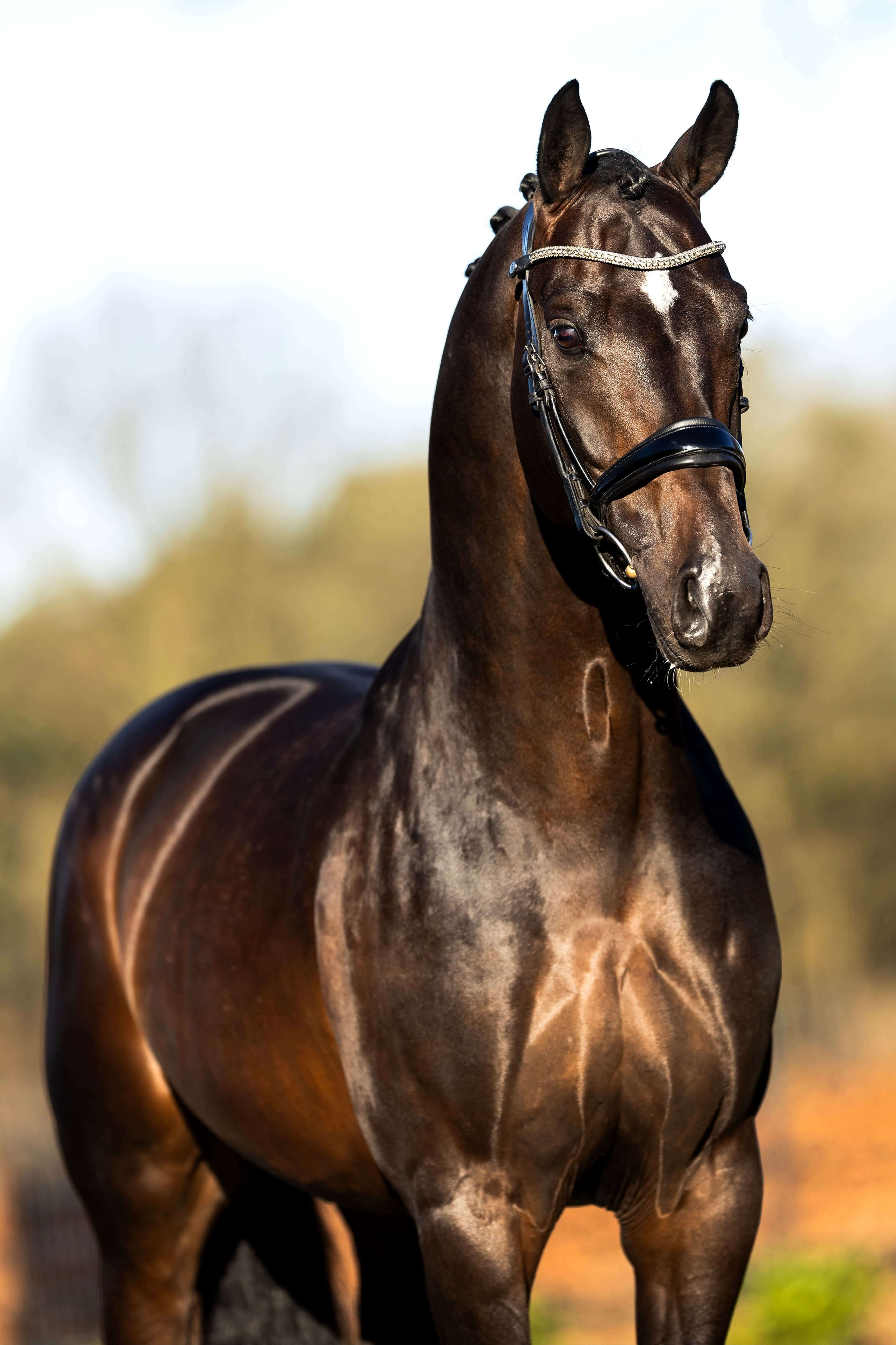 Ontwerp zonder titel 95 1