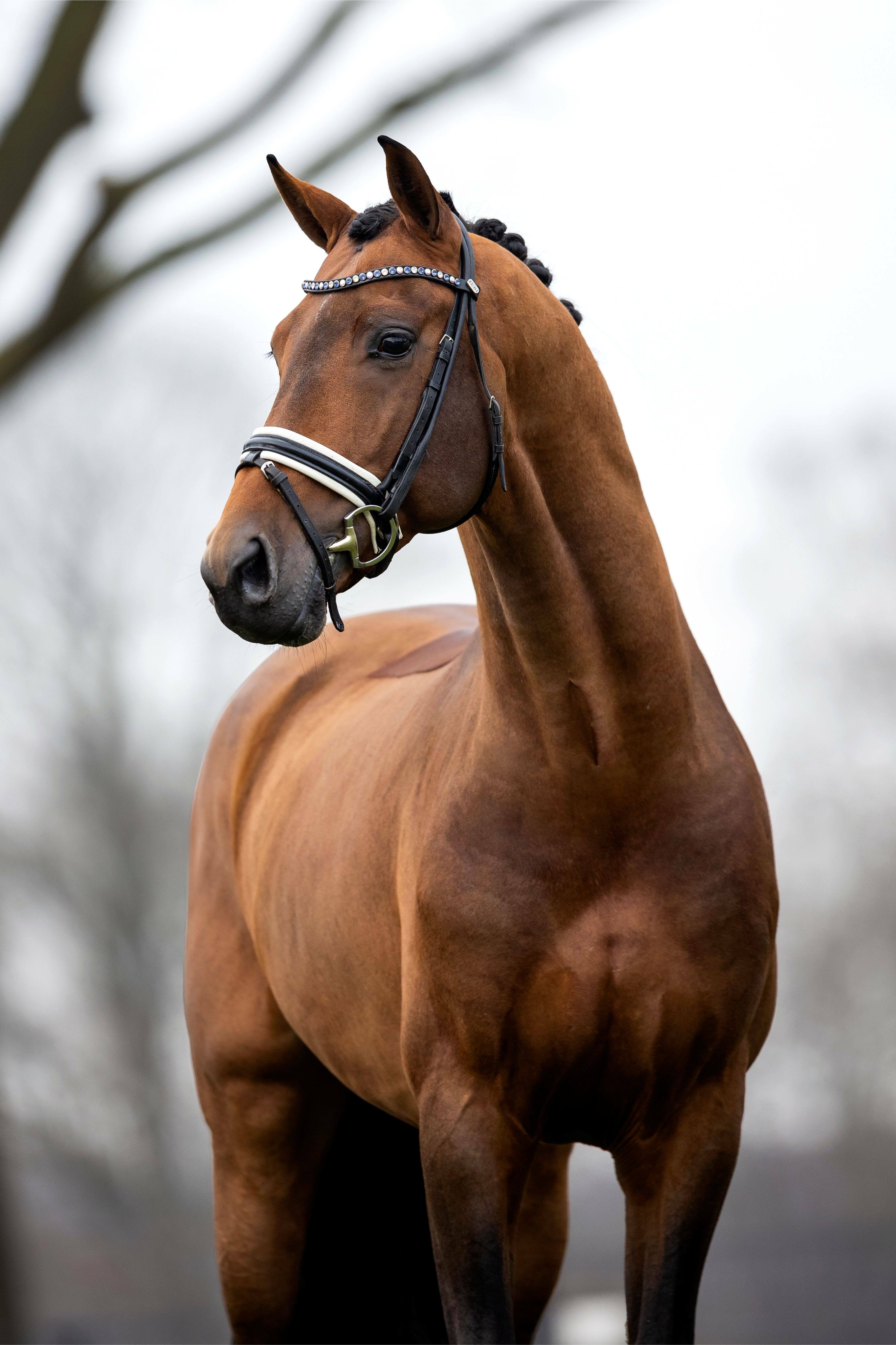 Ontwerp zonder titel 99 1