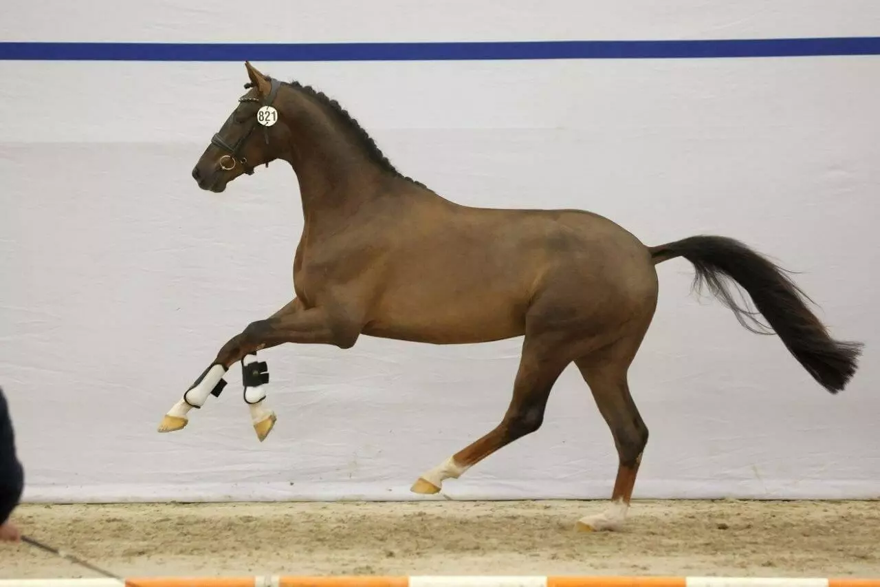 Ontwerp zonder titel 1