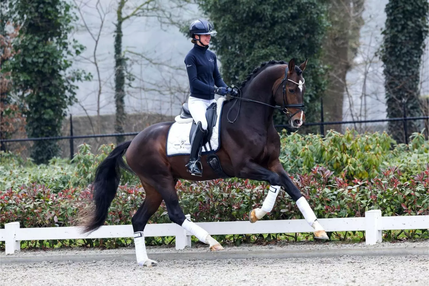 Ontwerp zonder titel 13