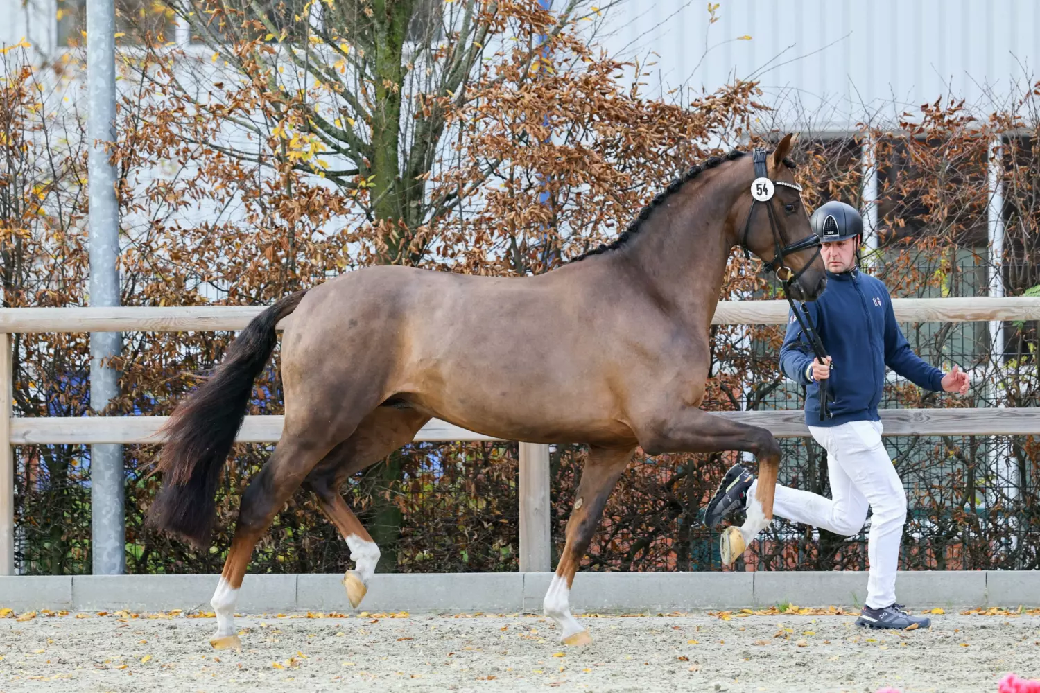 Ontwerp zonder titel 2