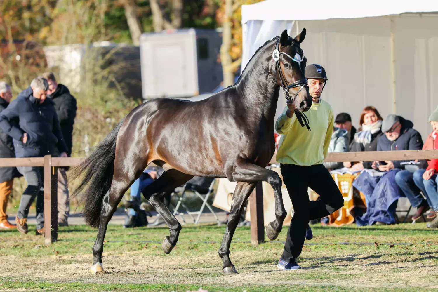 Ontwerp zonder titel 8