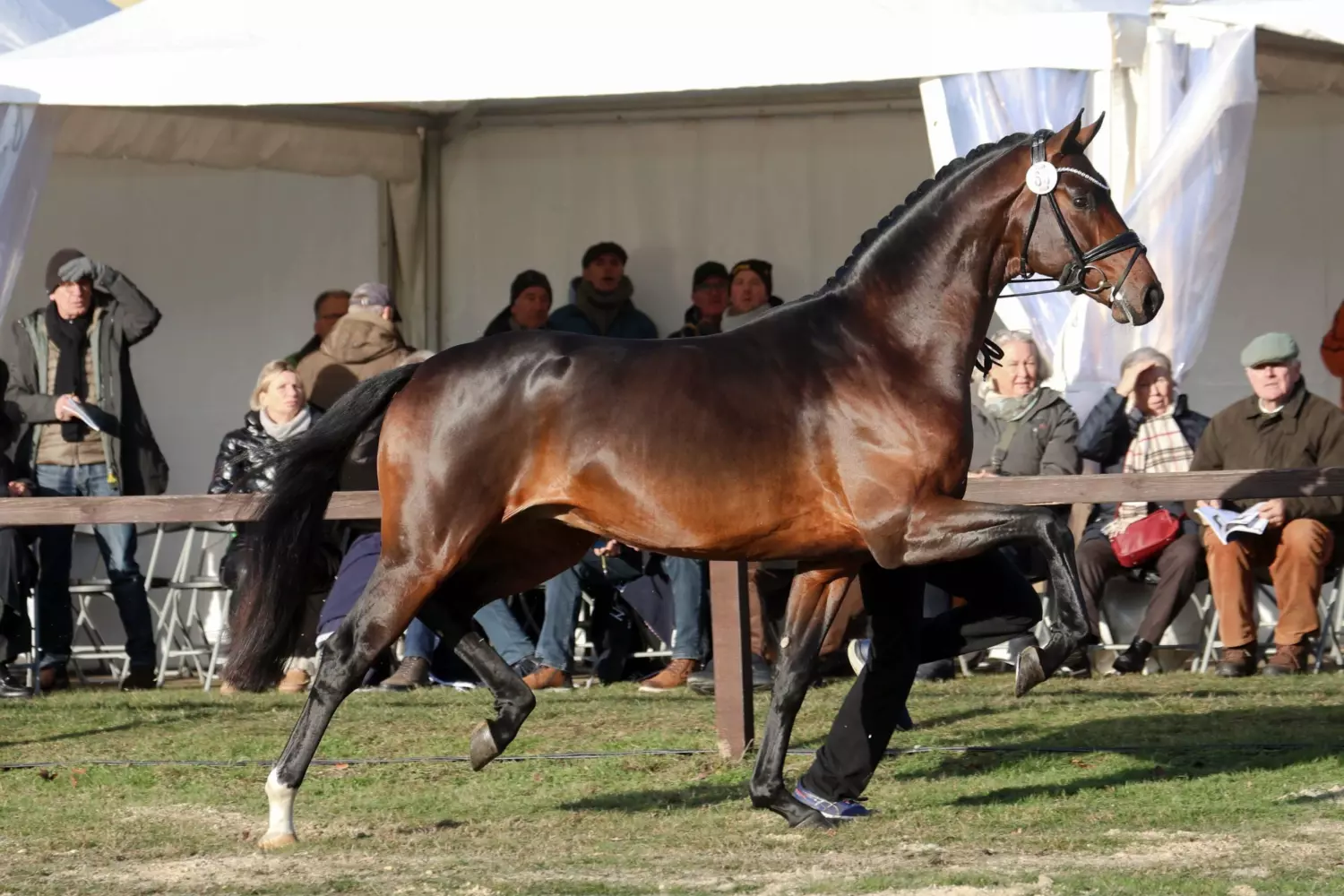 Ontwerp zonder titel 14 1