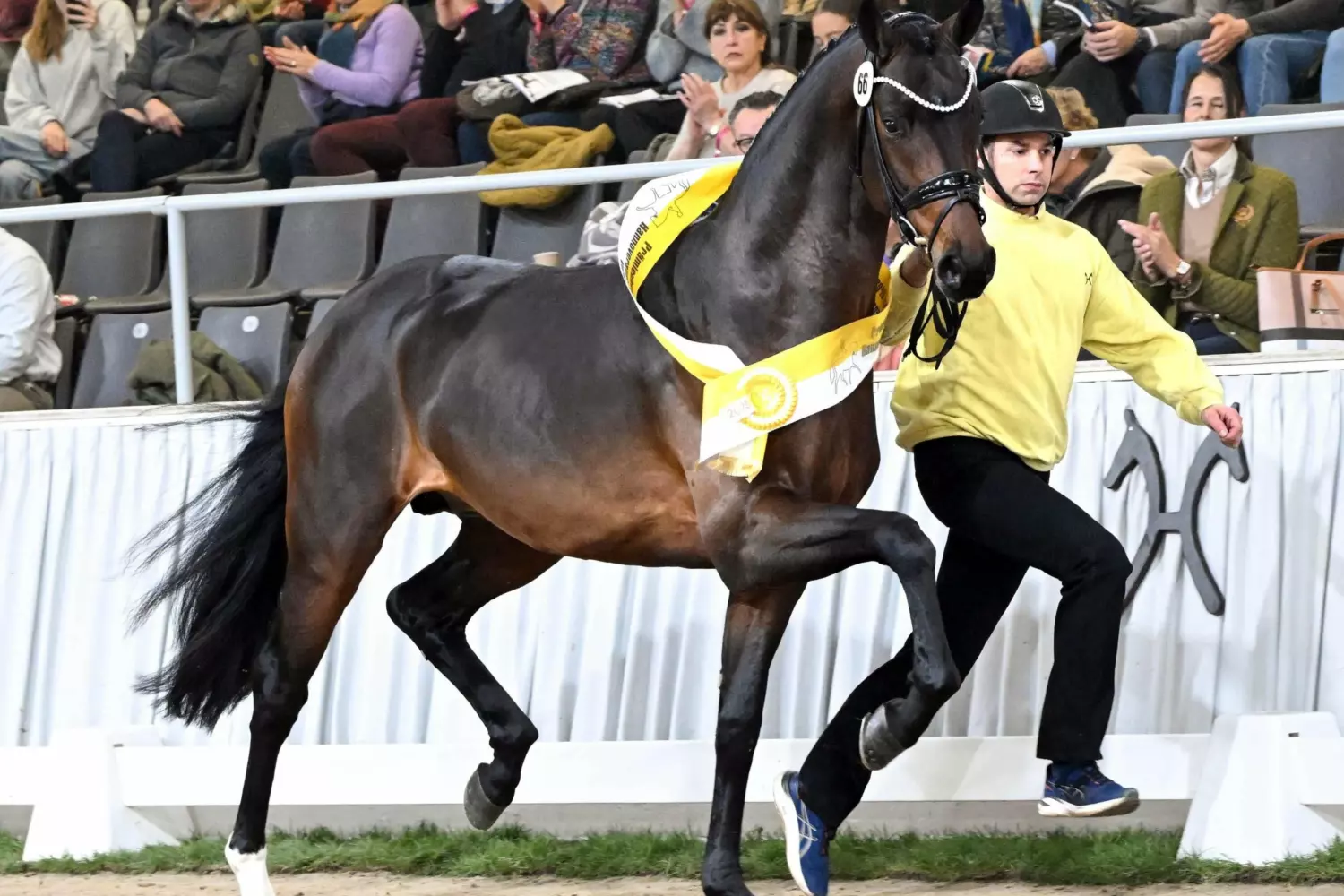 Ontwerp zonder titel 16 1