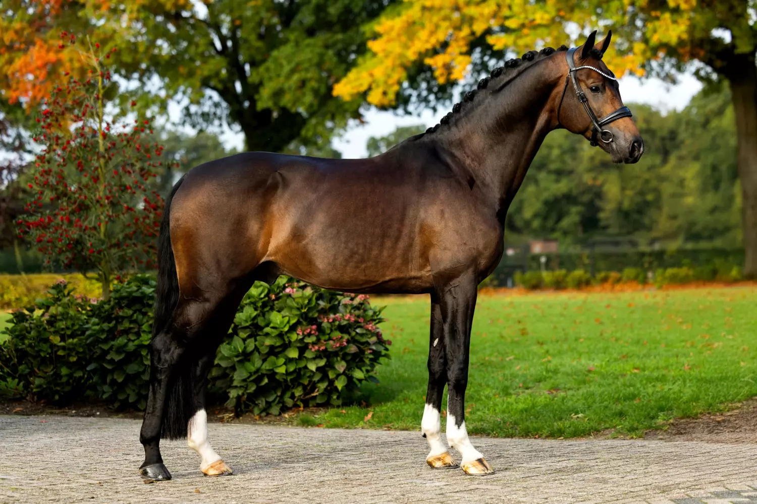 Ontwerp zonder titel 20 1