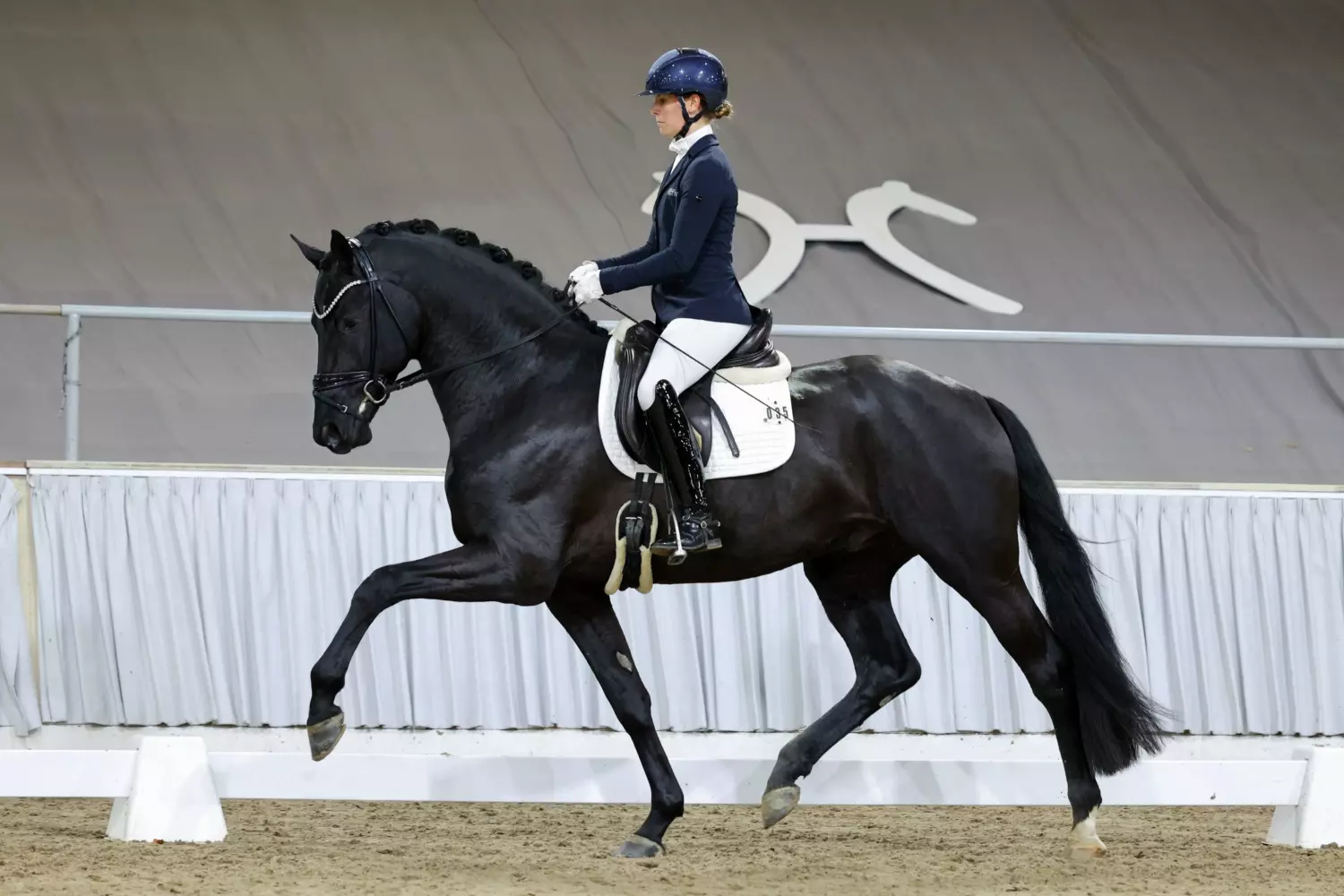 Ontwerp zonder titel 21 1