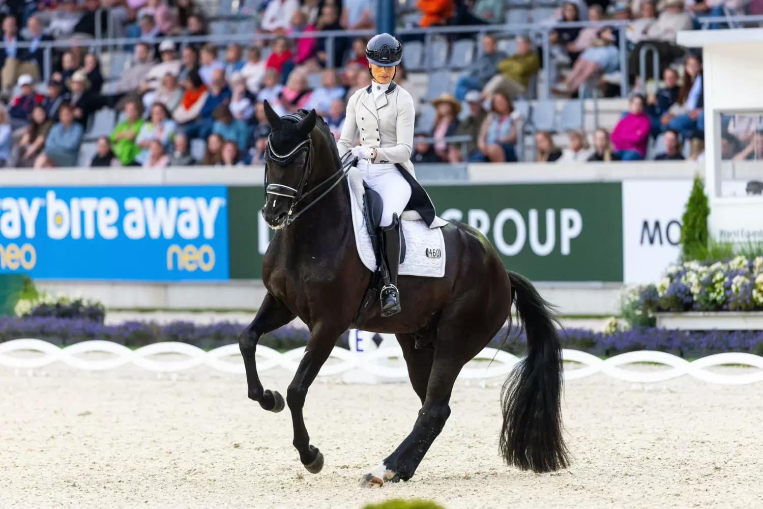 Ontwerp zonder titel 34 1