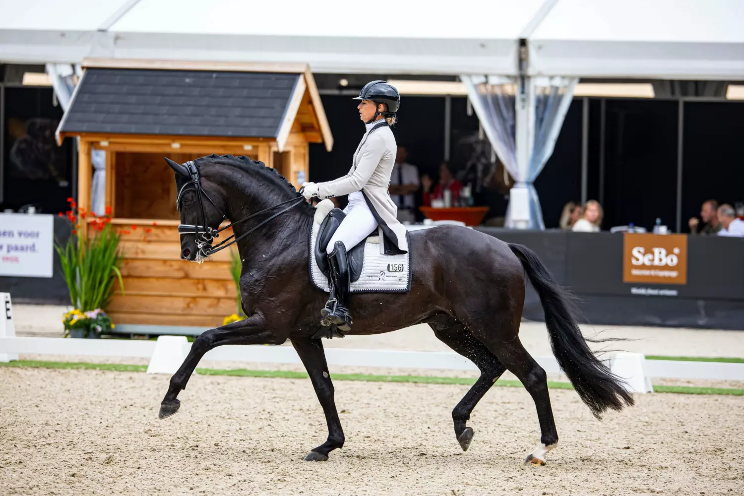 Ontwerp zonder titel 35 1