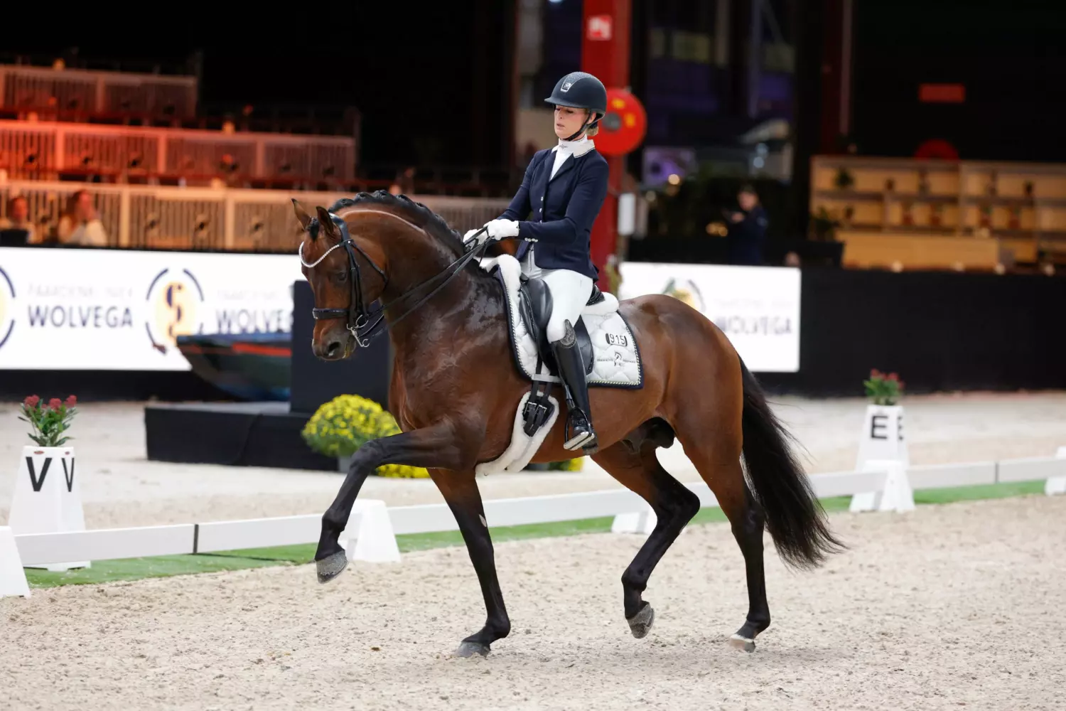 Ontwerp zonder titel 41 1