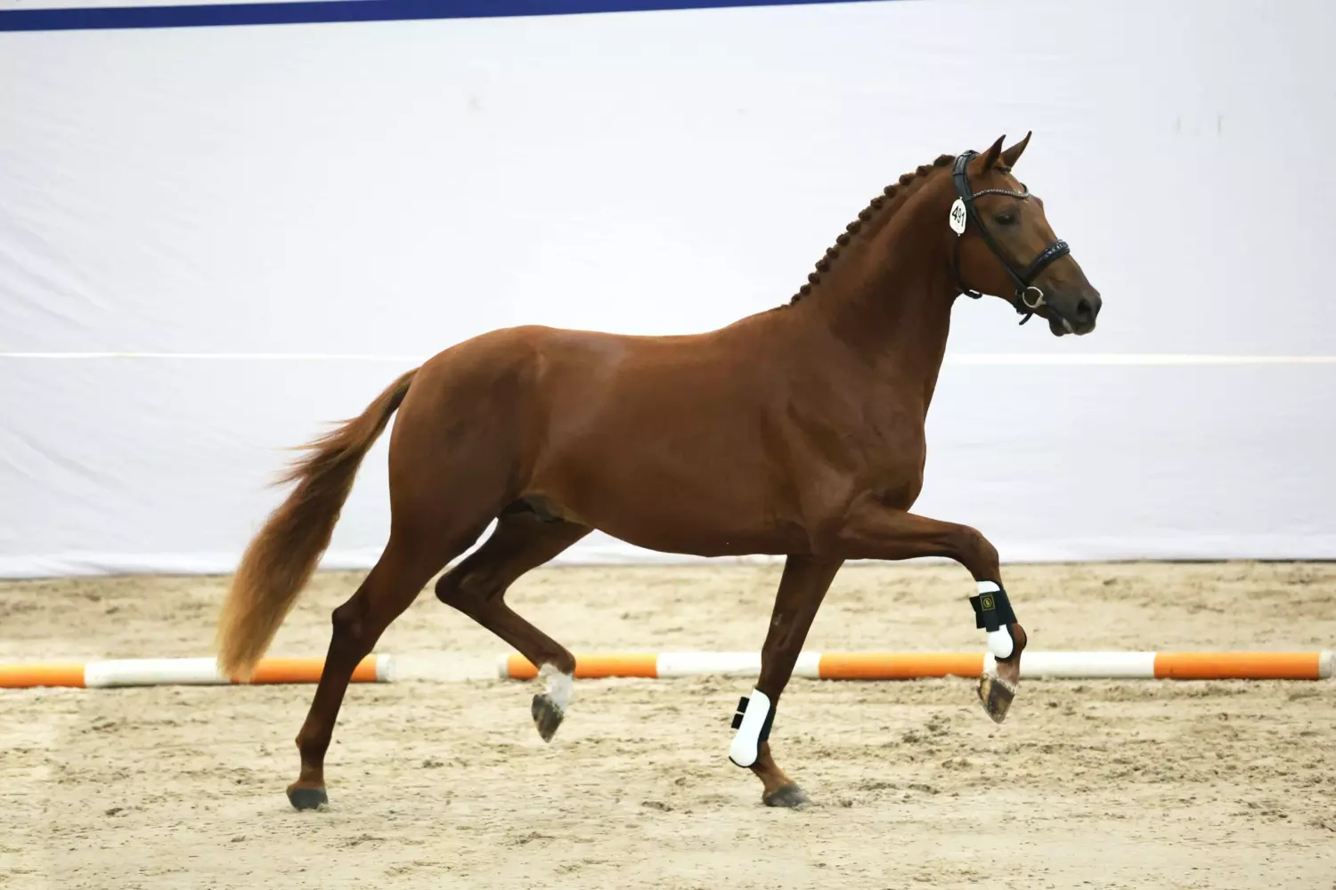 Ontwerp zonder titel 47 1