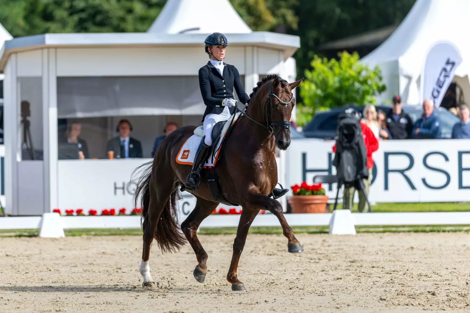 Ontwerp zonder titel 62 1