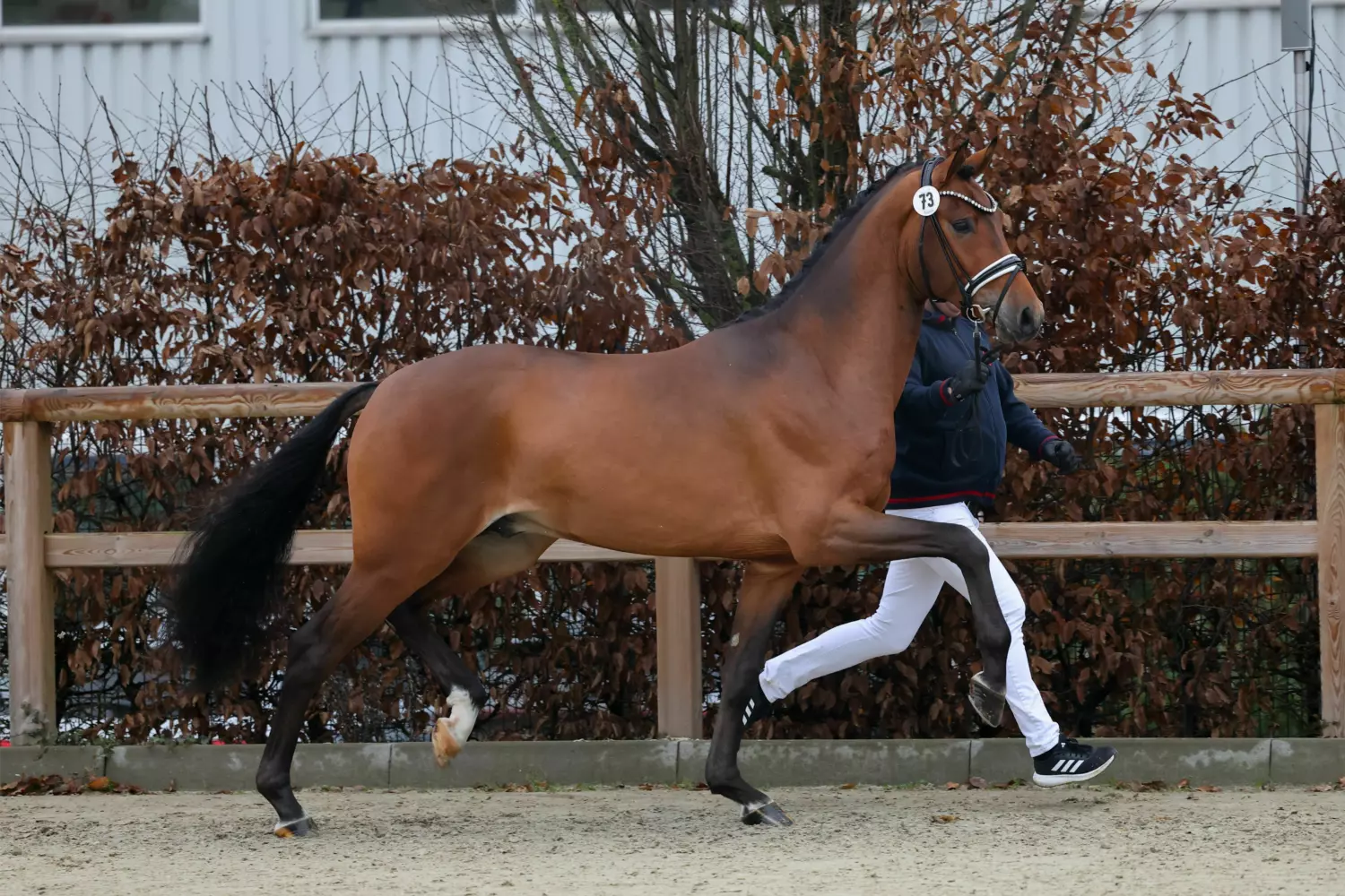 Ontwerp zonder titel 65