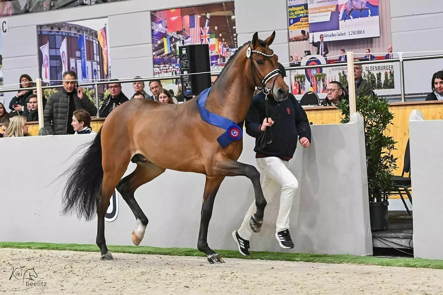 Ontwerp zonder titel 64