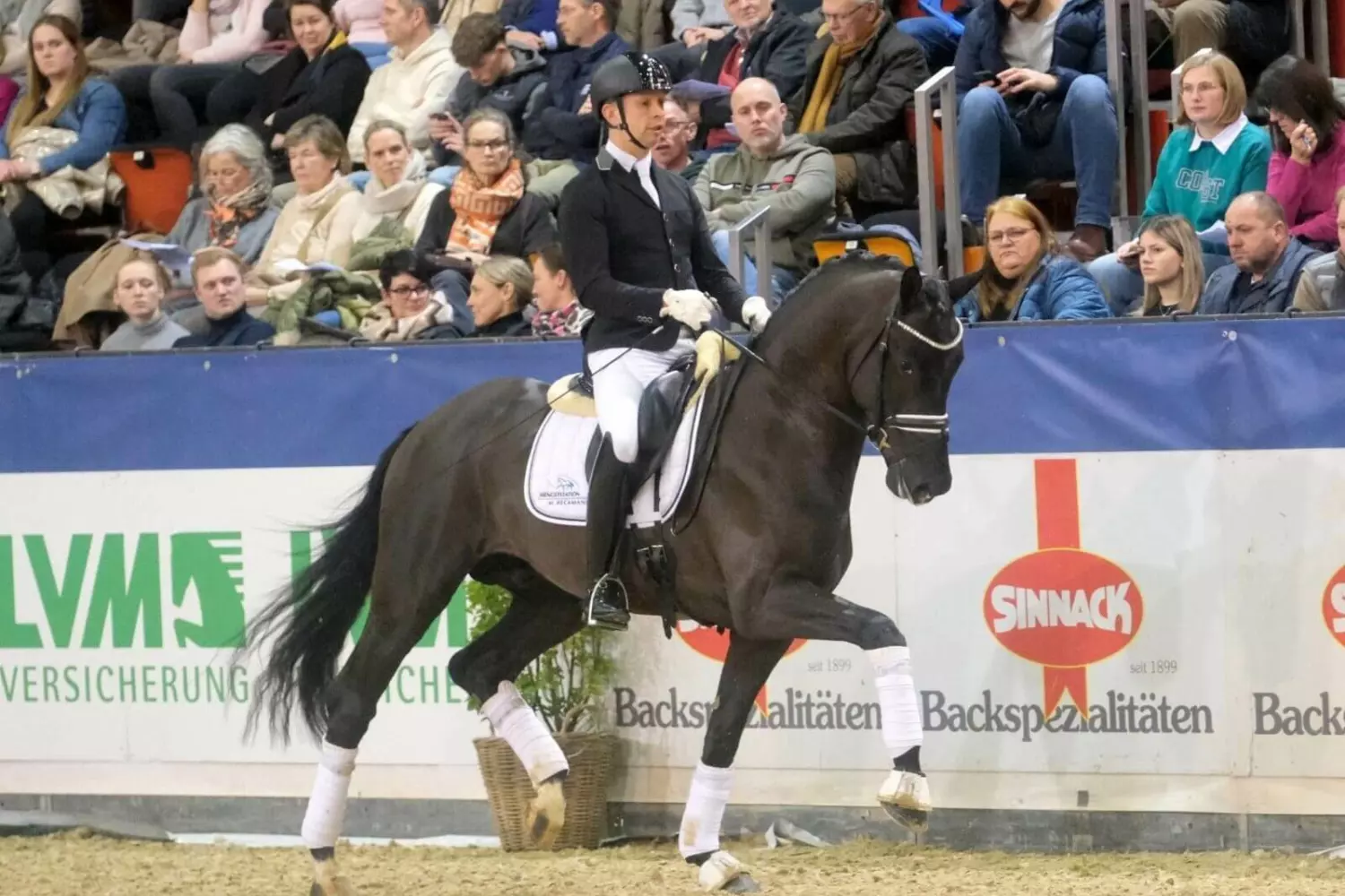 Ontwerp zonder titel 68 1