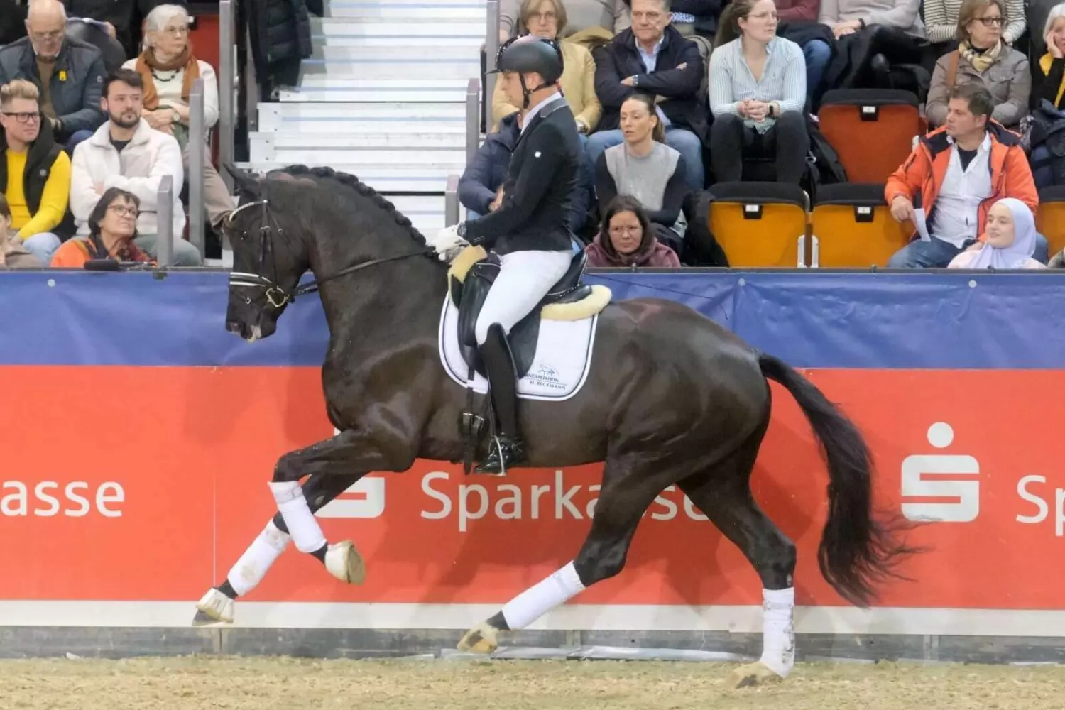 Ontwerp zonder titel 67 1