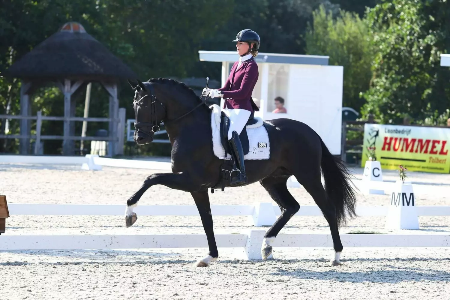 Ontwerp zonder titel 70 1