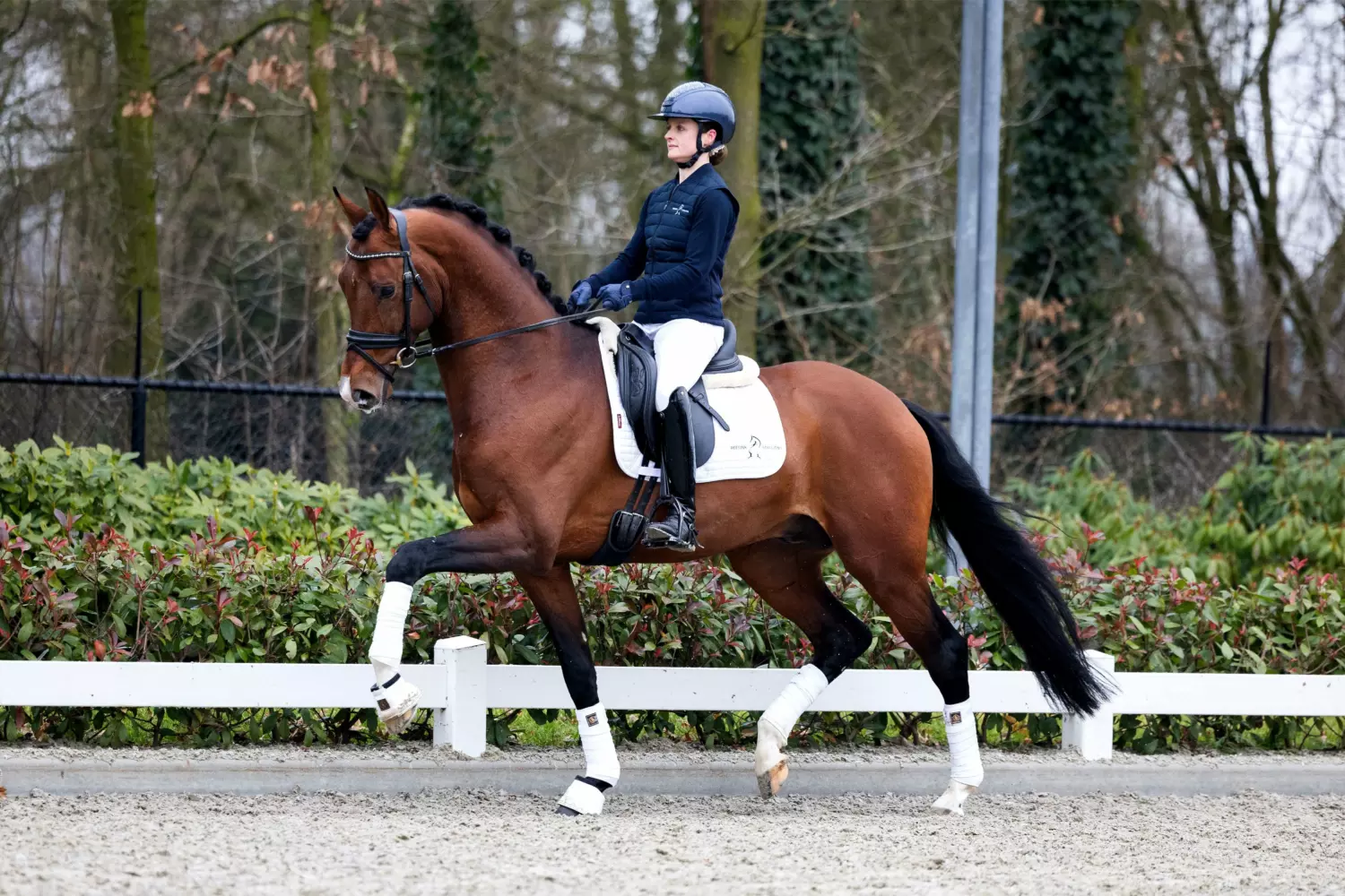 Ontwerp zonder titel 78 1