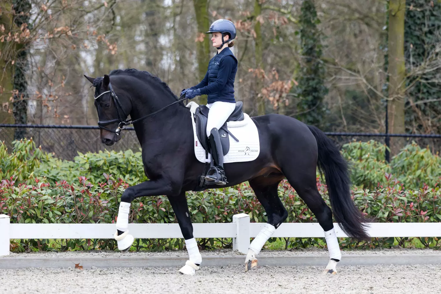 Ontwerp zonder titel 80 1