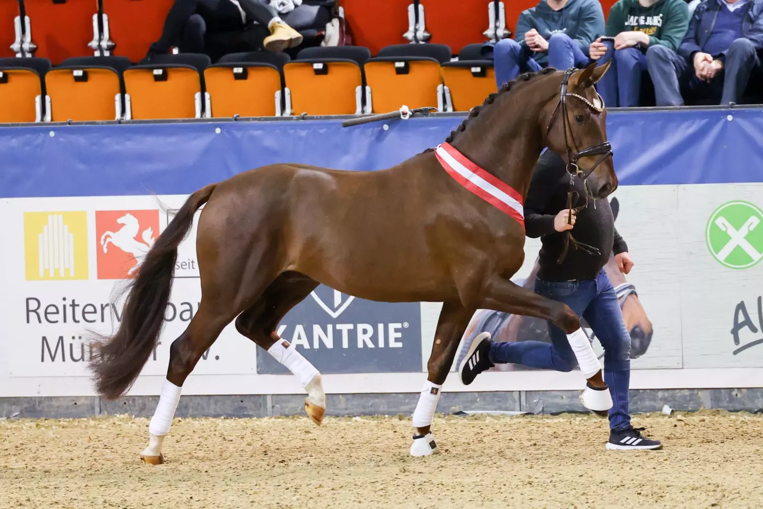 Ontwerp zonder titel 89 1