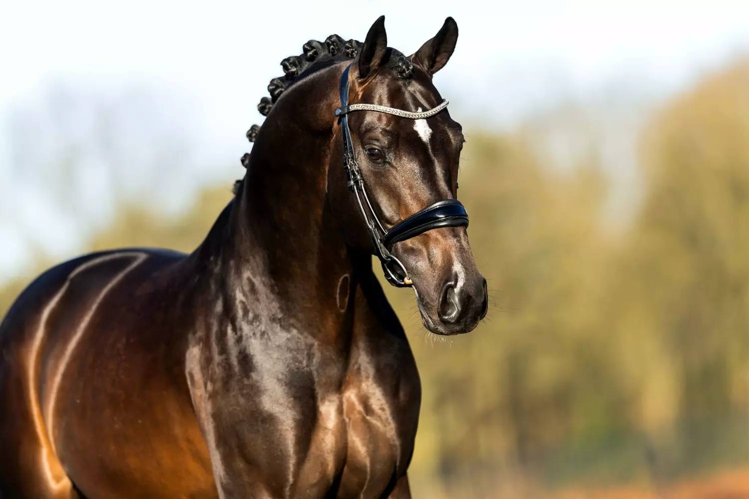 Ontwerp zonder titel 93 1