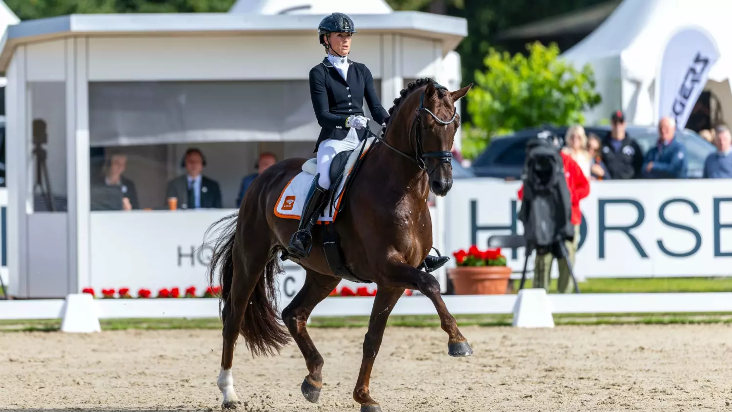 Ontwerp zonder titel 2026 01 23 T151205 854 1