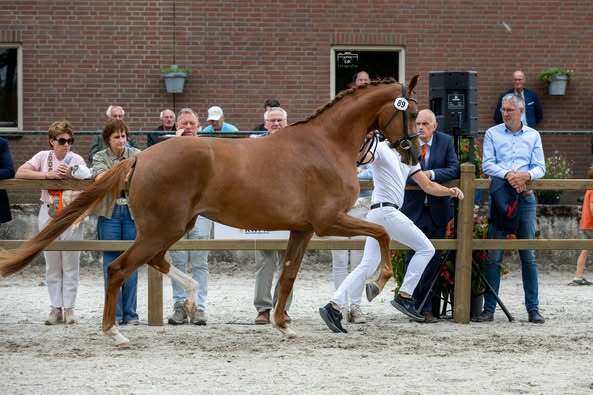 Mc Laren x UB40 Arjan en Jolanda Bekkers 1