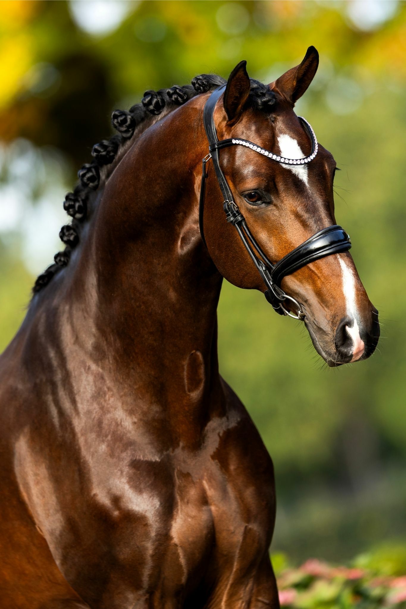 Ontwerp zonder titel 10